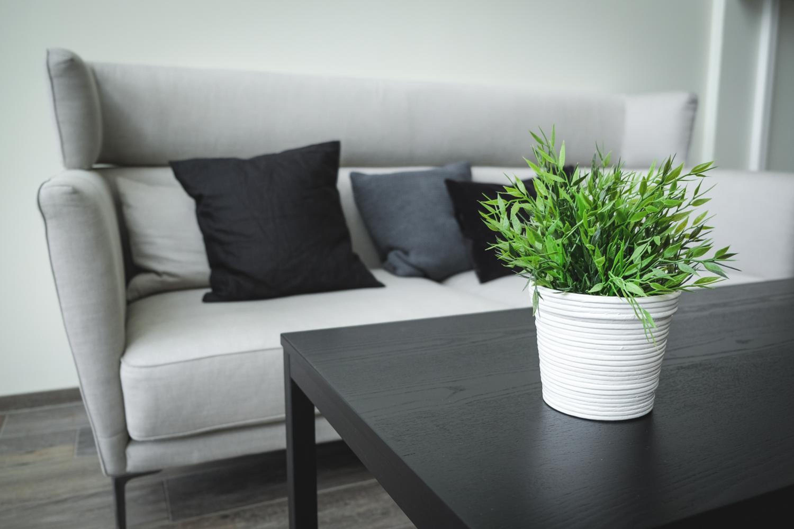 Bella Apartments & Rooms