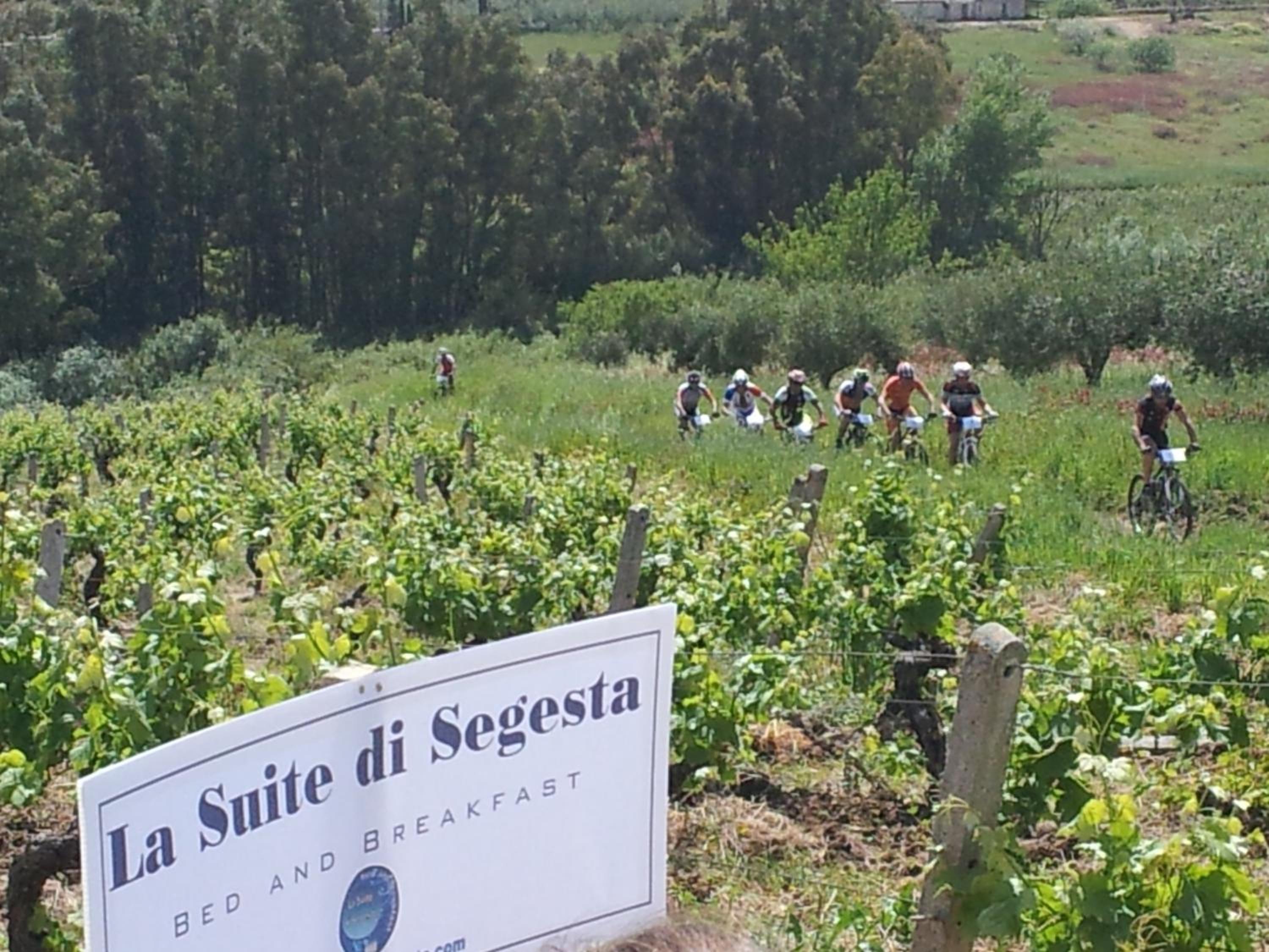 La Suite Di Segesta