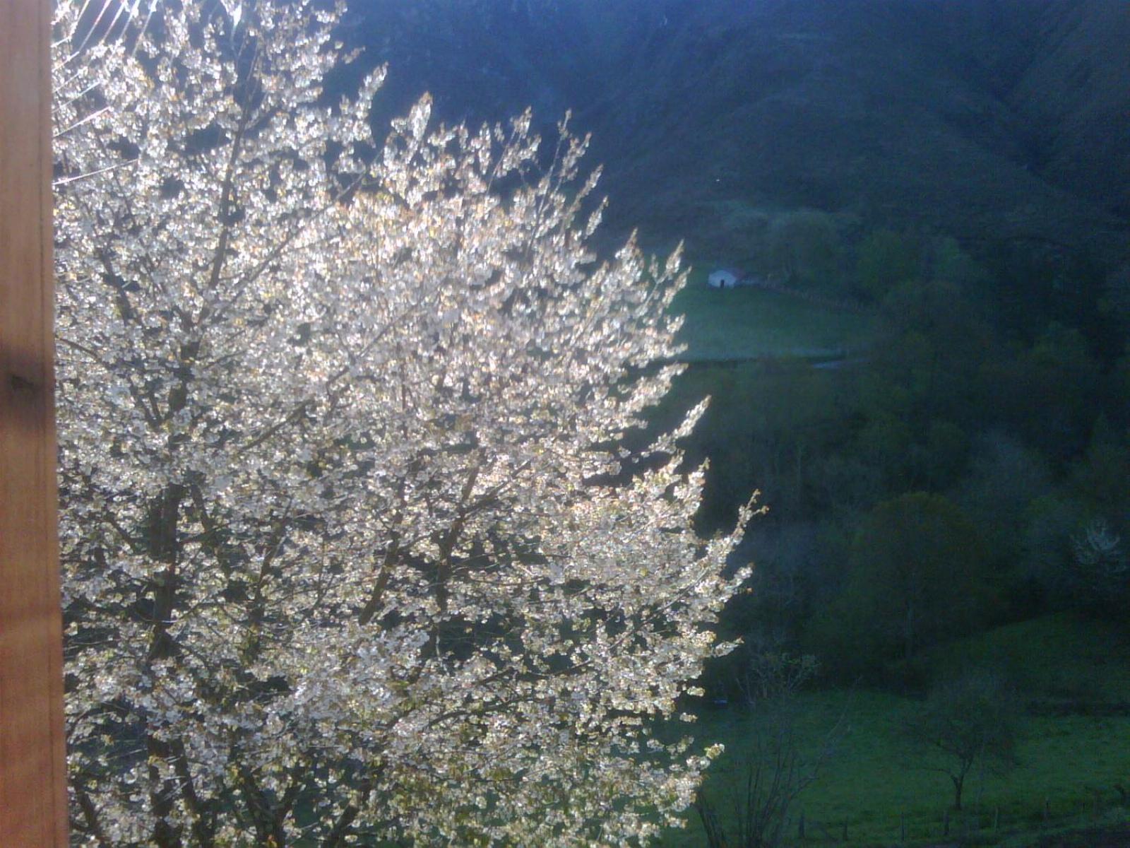 Orígenes view 4
