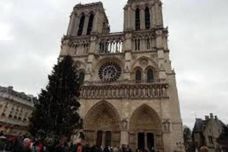 Photo 29