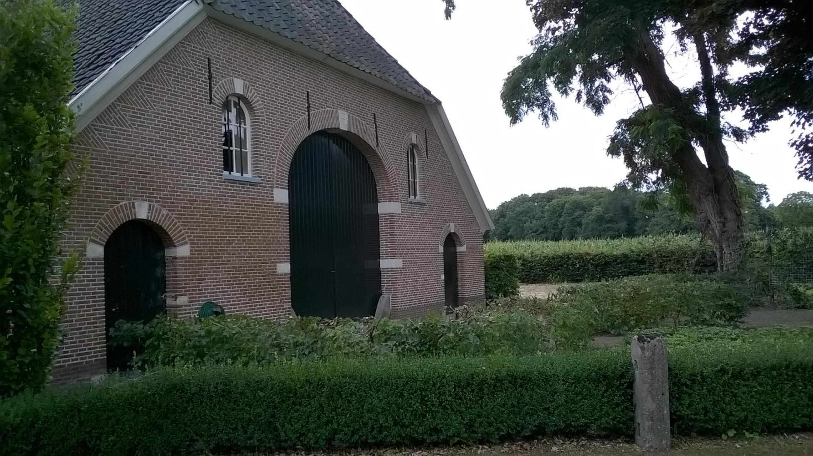 Photo 18