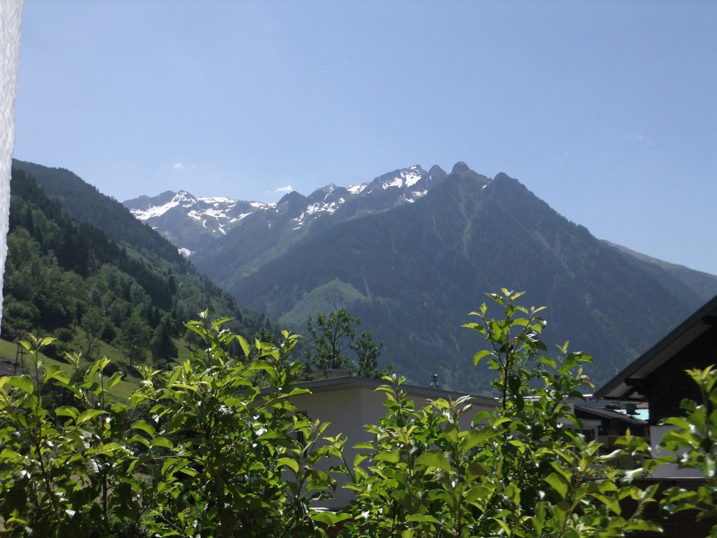 Photo 32