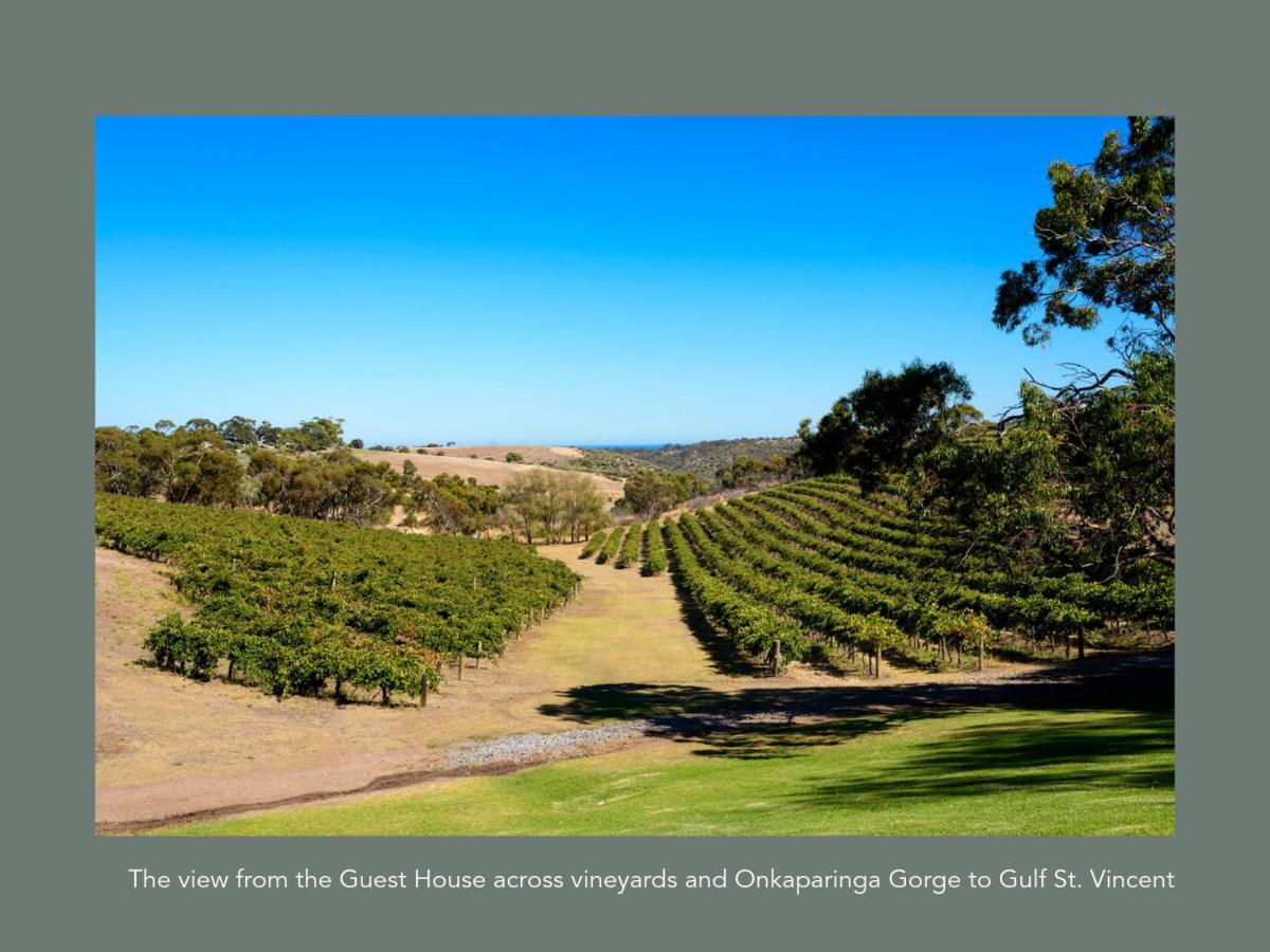 Chapel Hill Winery Guest House