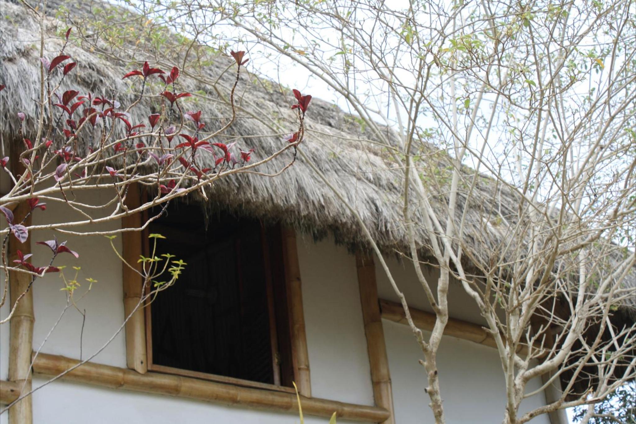 Muyuyo Lodge