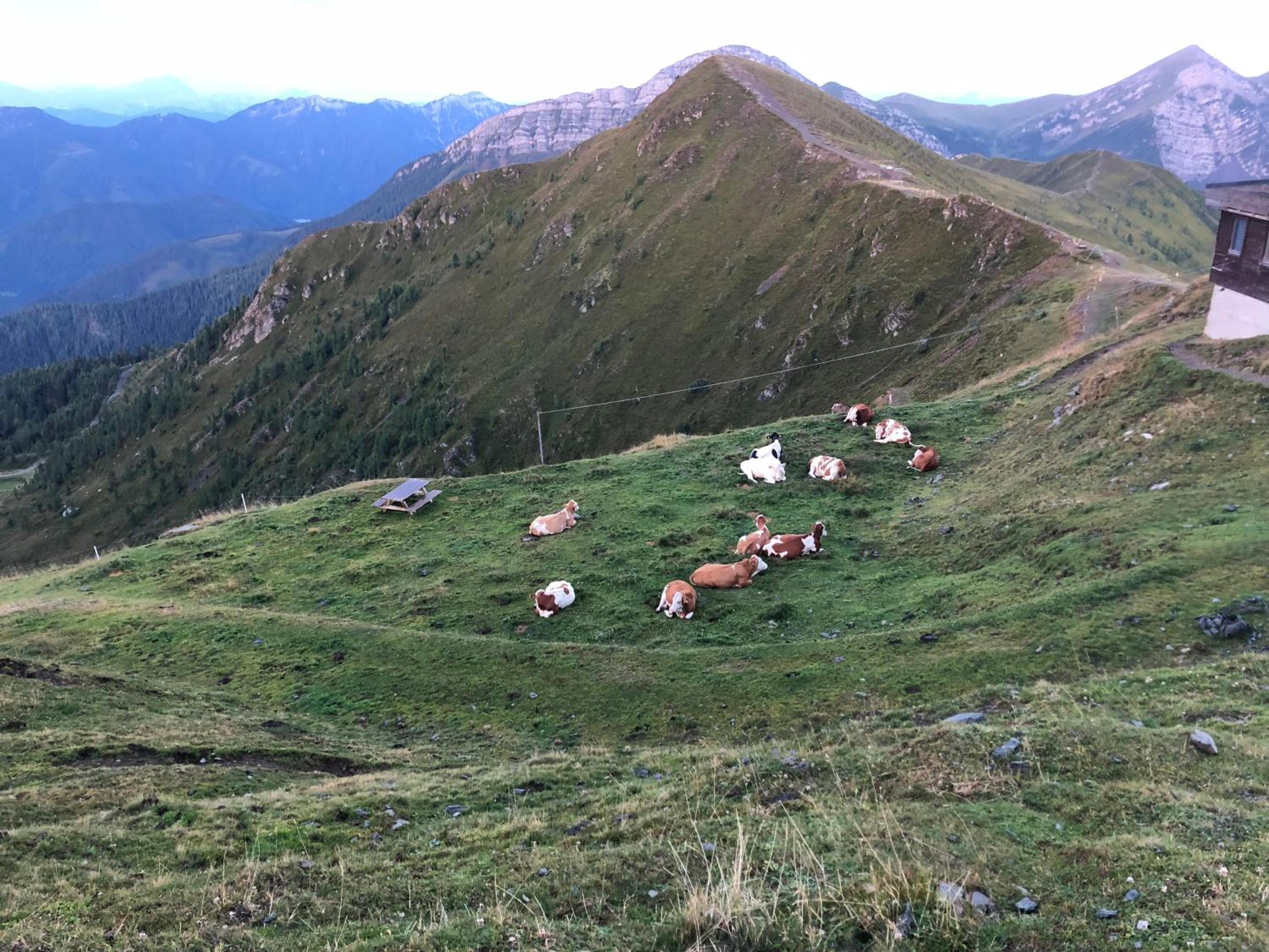 Photo 43