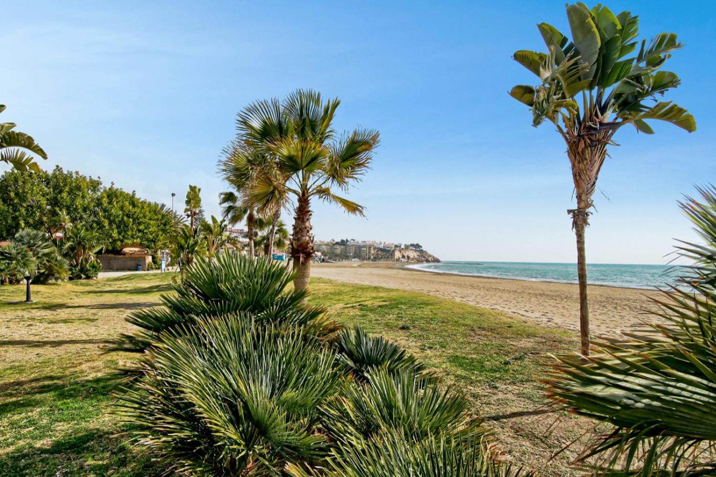 Del Parque Flats - Torrevigia