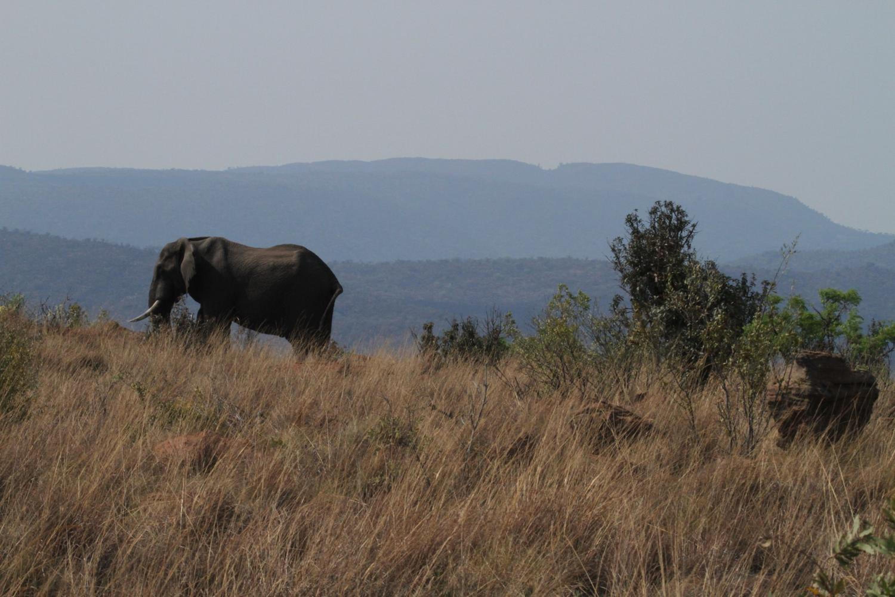 Inzalo Safari Lodge view 5