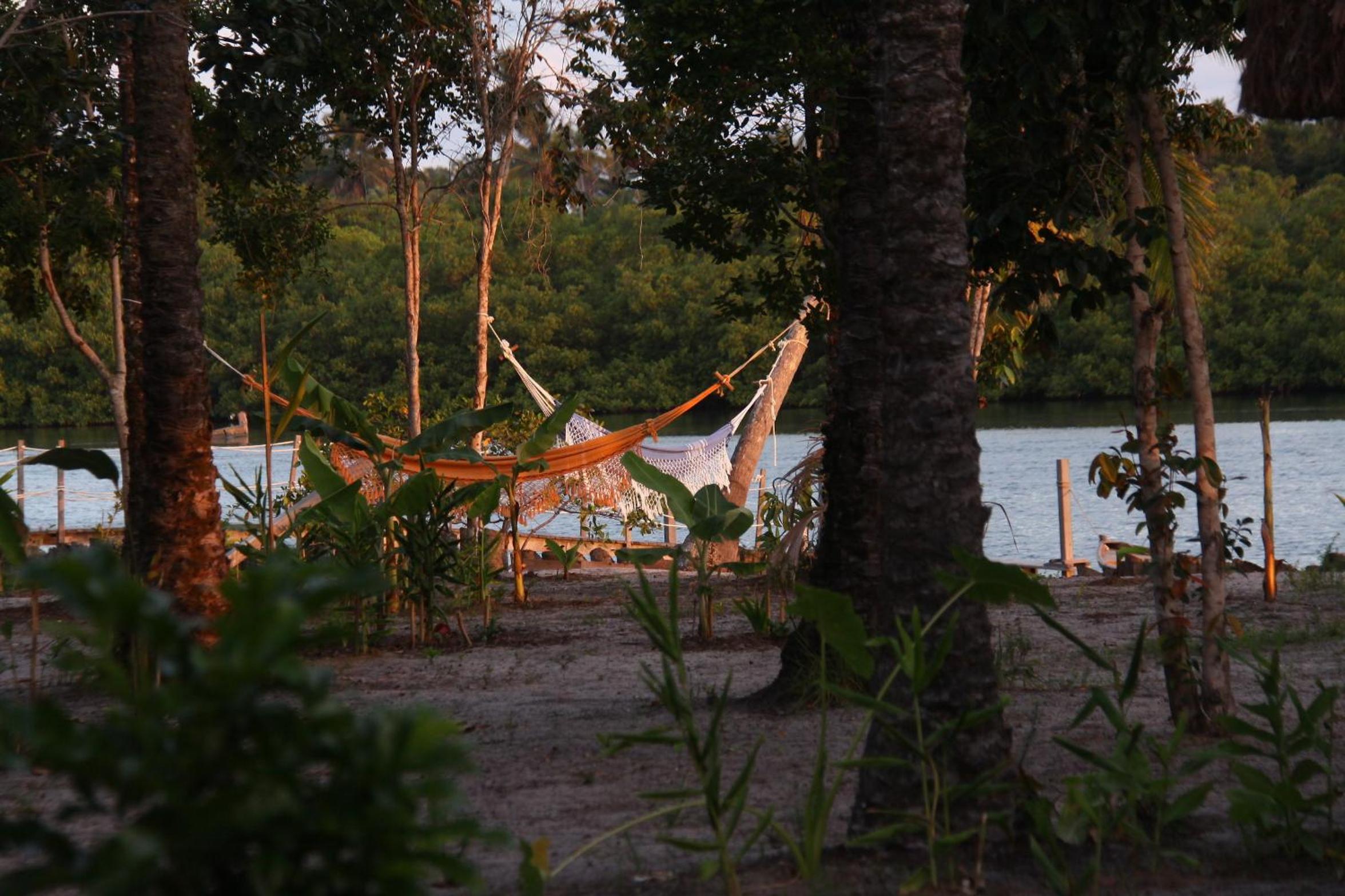 Casinha Amarela EcoLodge Boipeba