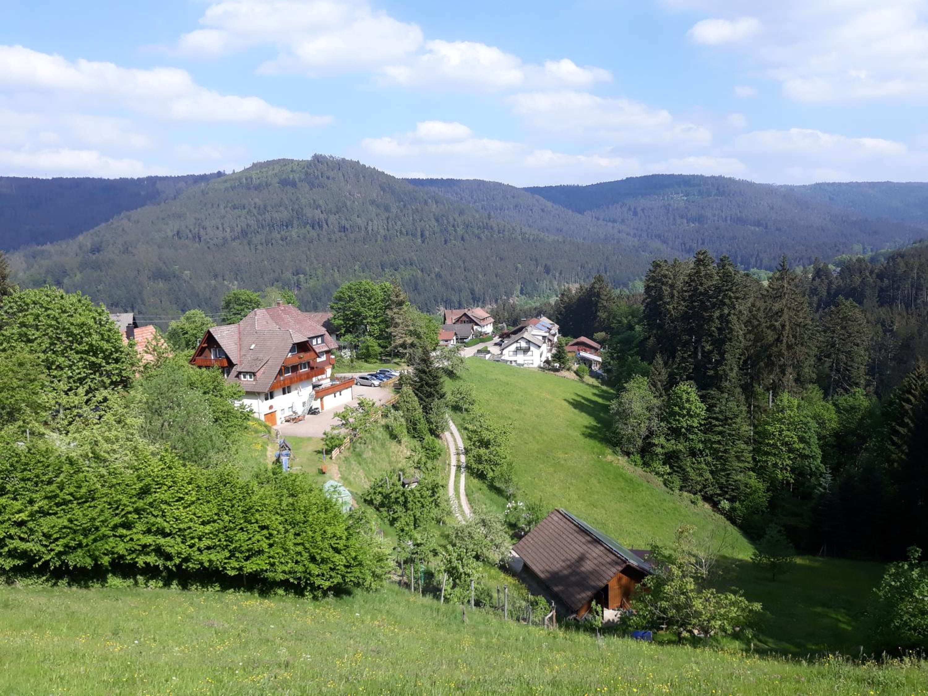 Landhaus Waldeshöhe