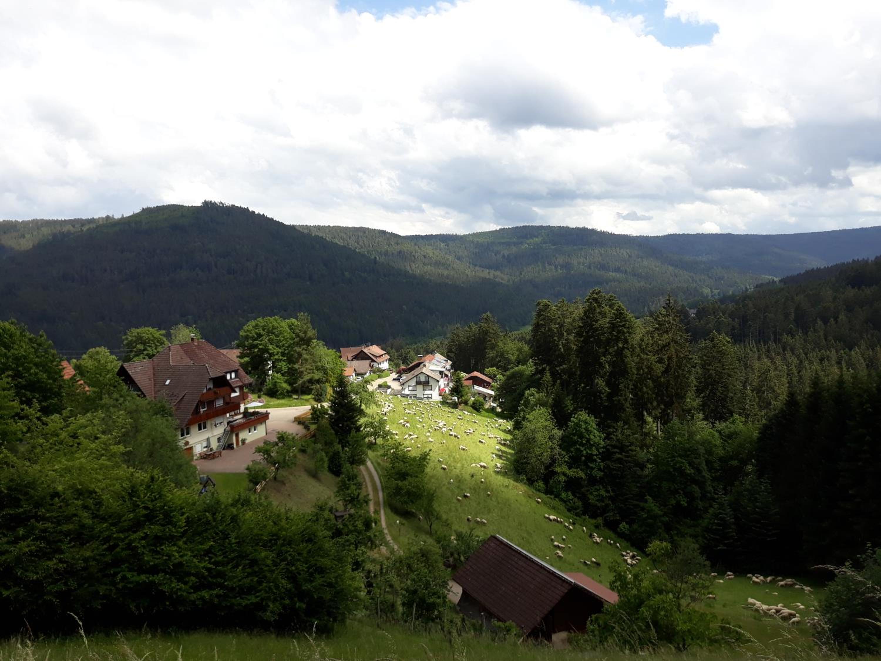 Landhaus Waldeshöhe