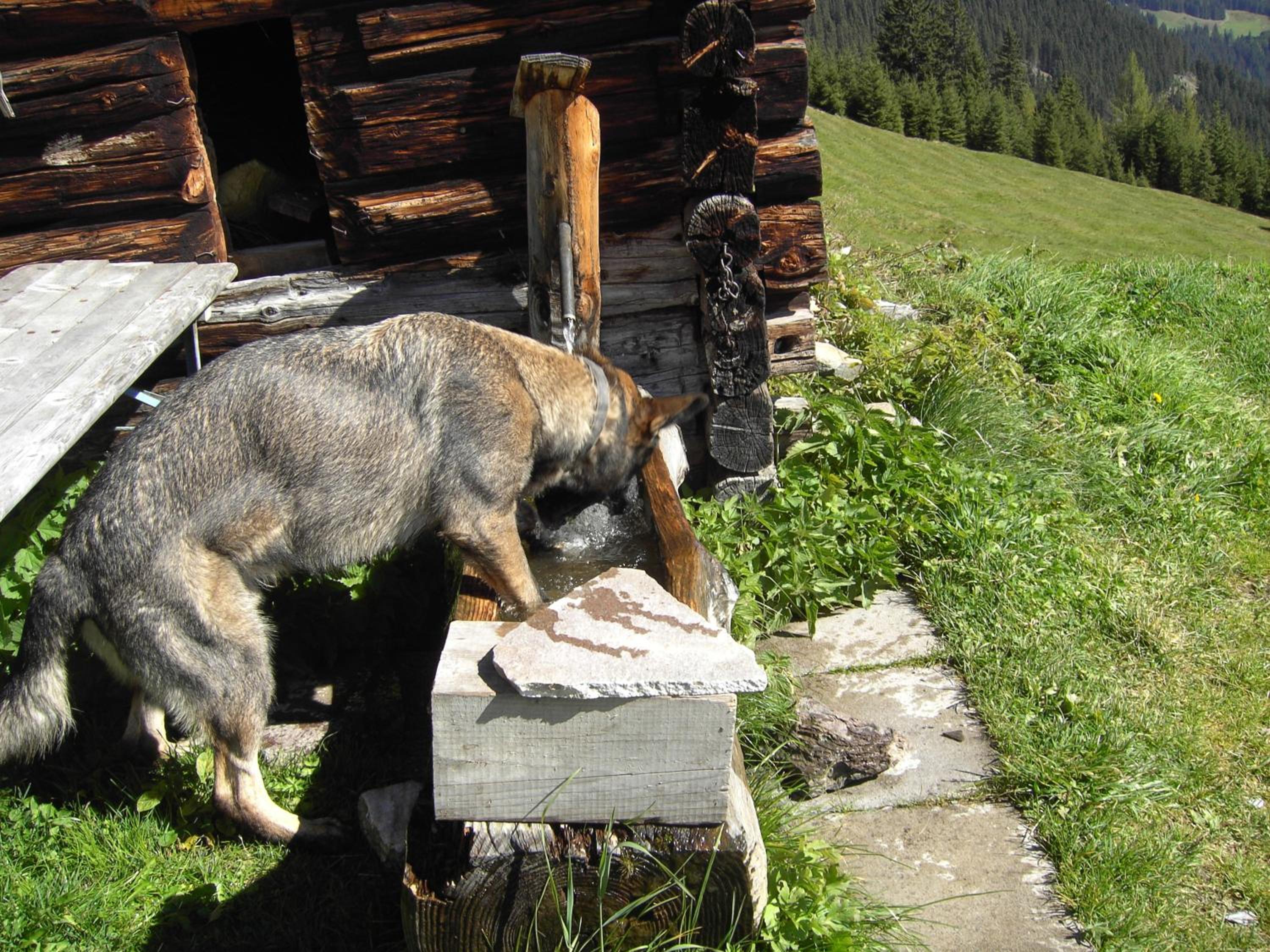 Photo 34