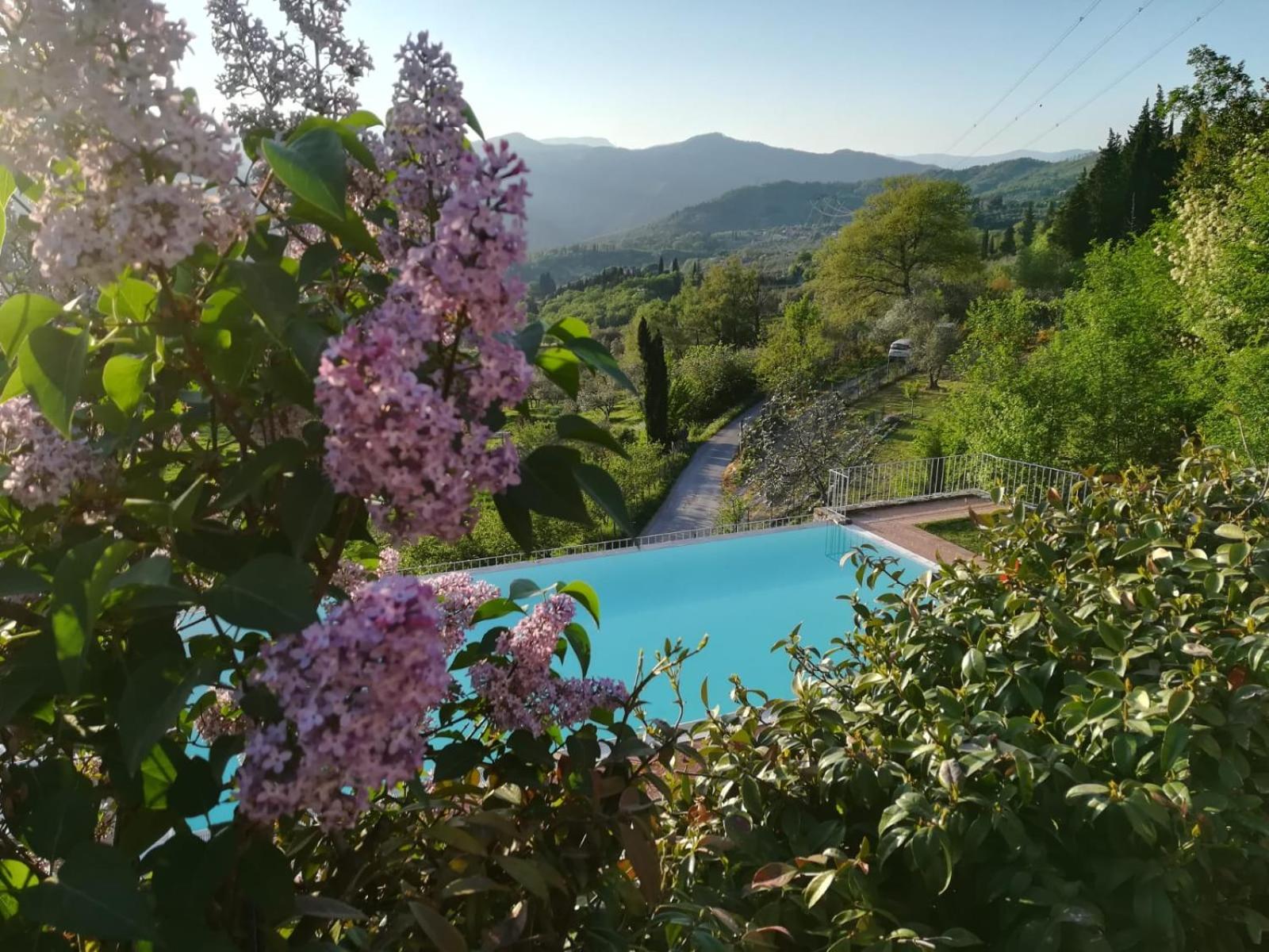 Villa Migliorati
