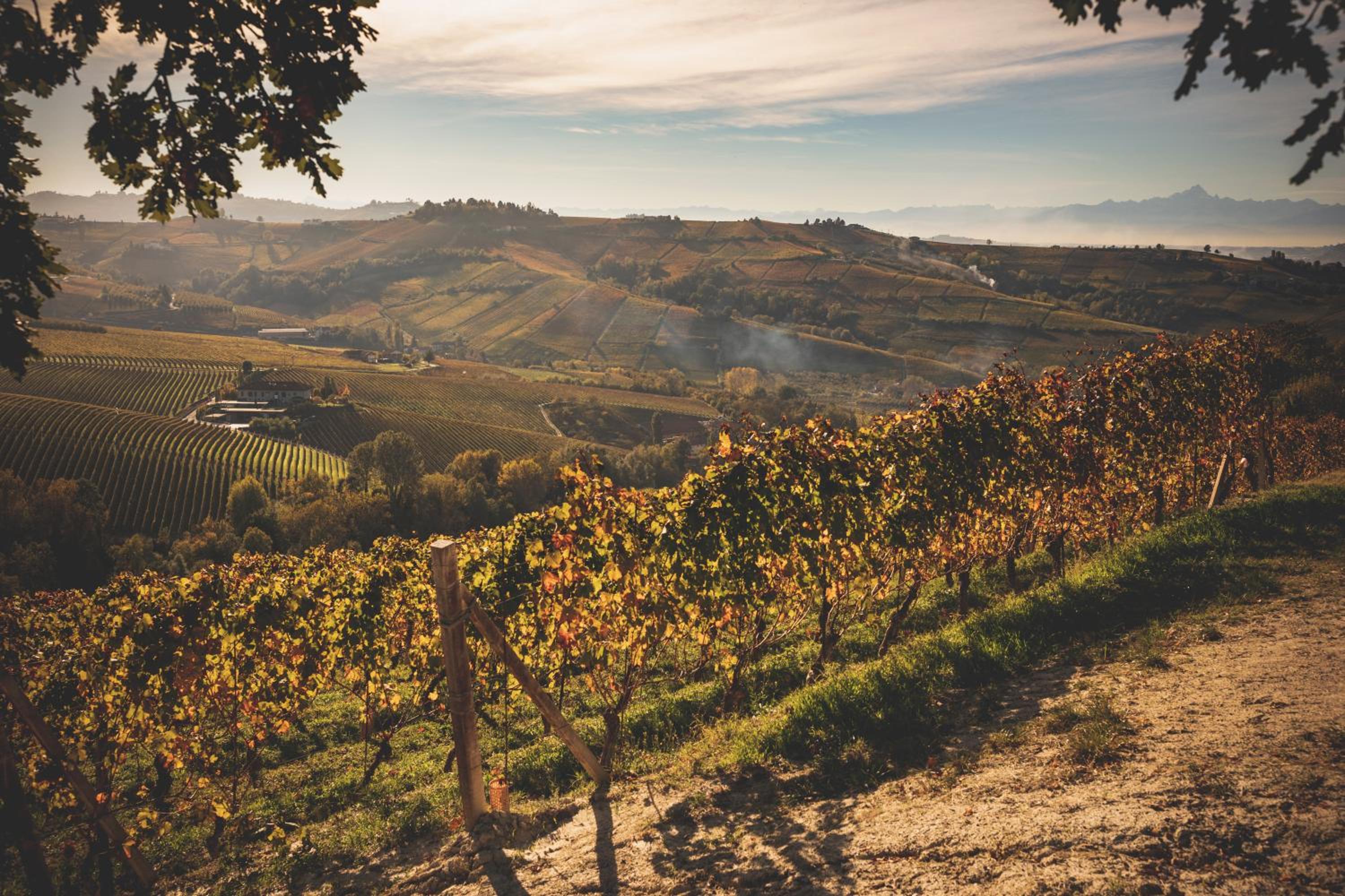 Tenuta Baràc