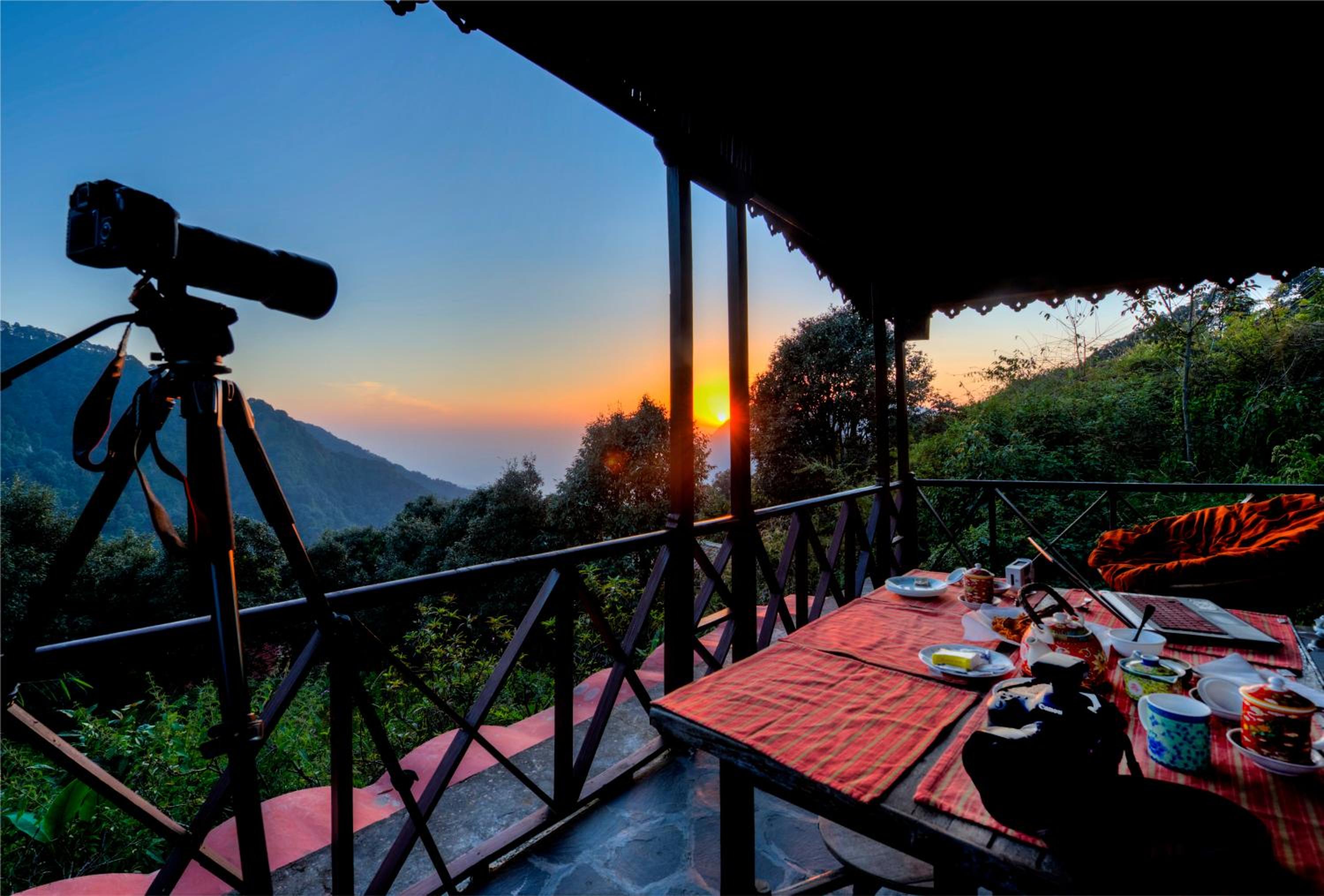 Jungle Lore Birding Lodge view 3