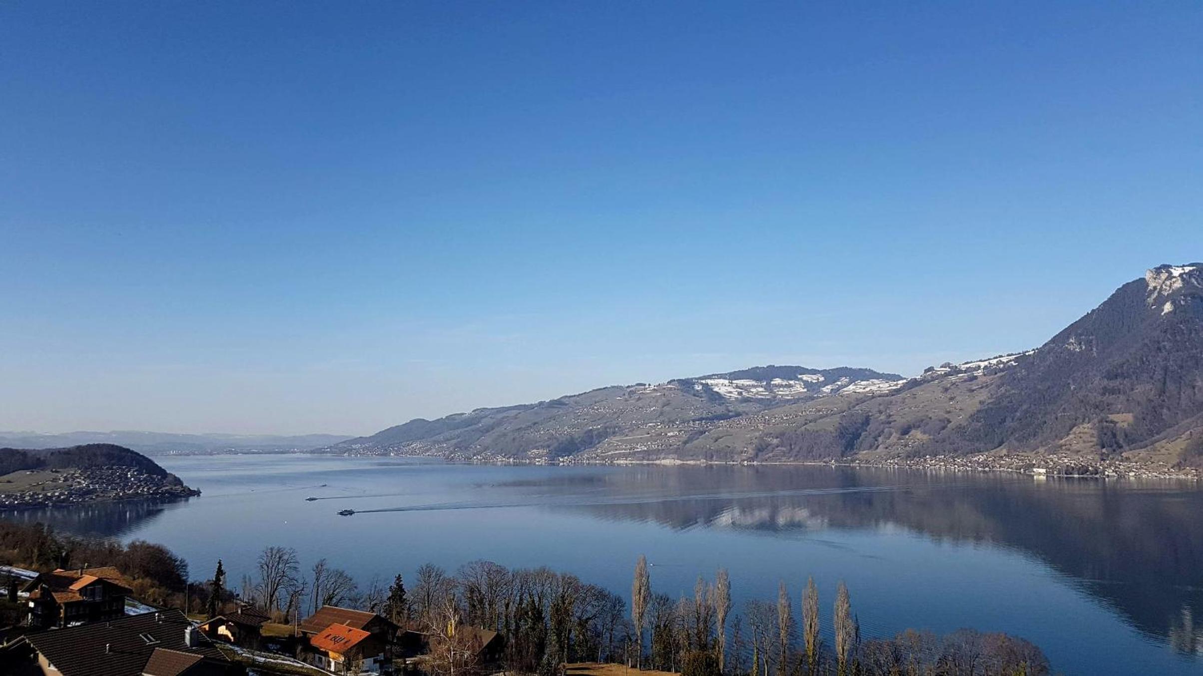 Traumhaftes Chalet mit Seesicht view 5