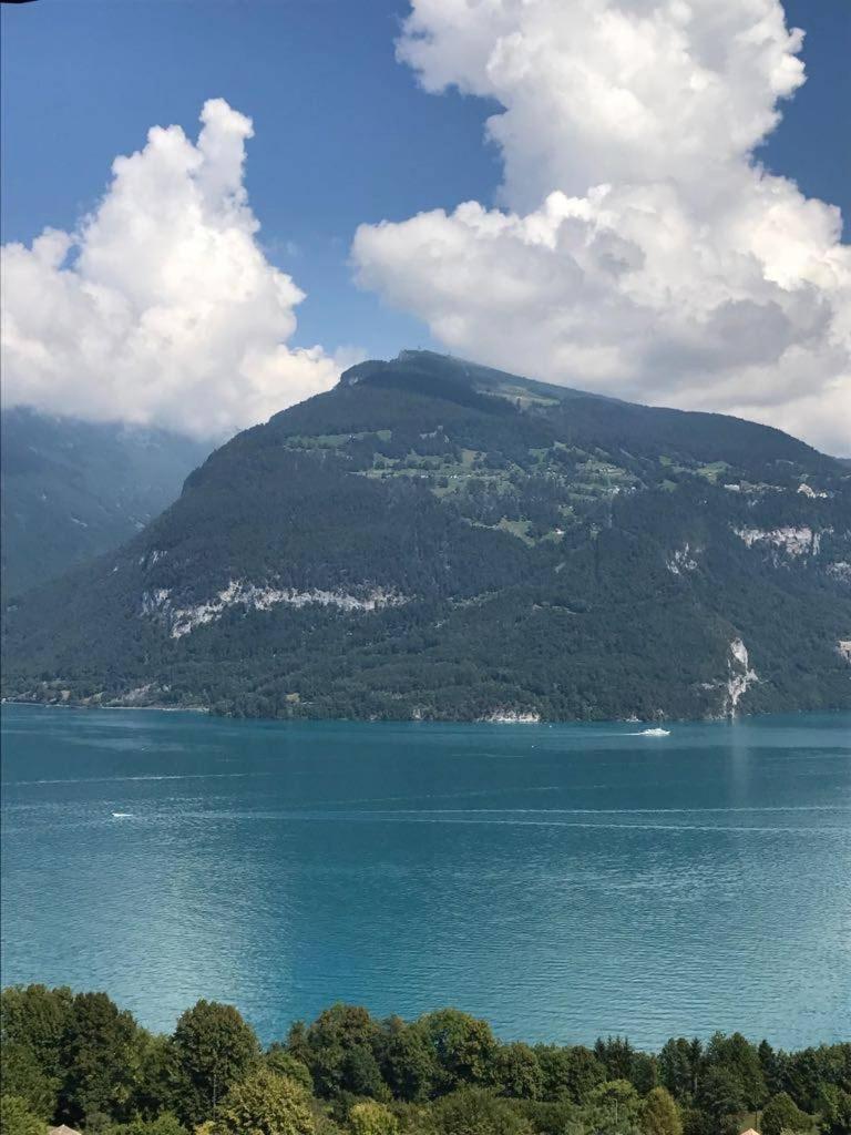 Traumhaftes Chalet mit Seesicht view 3