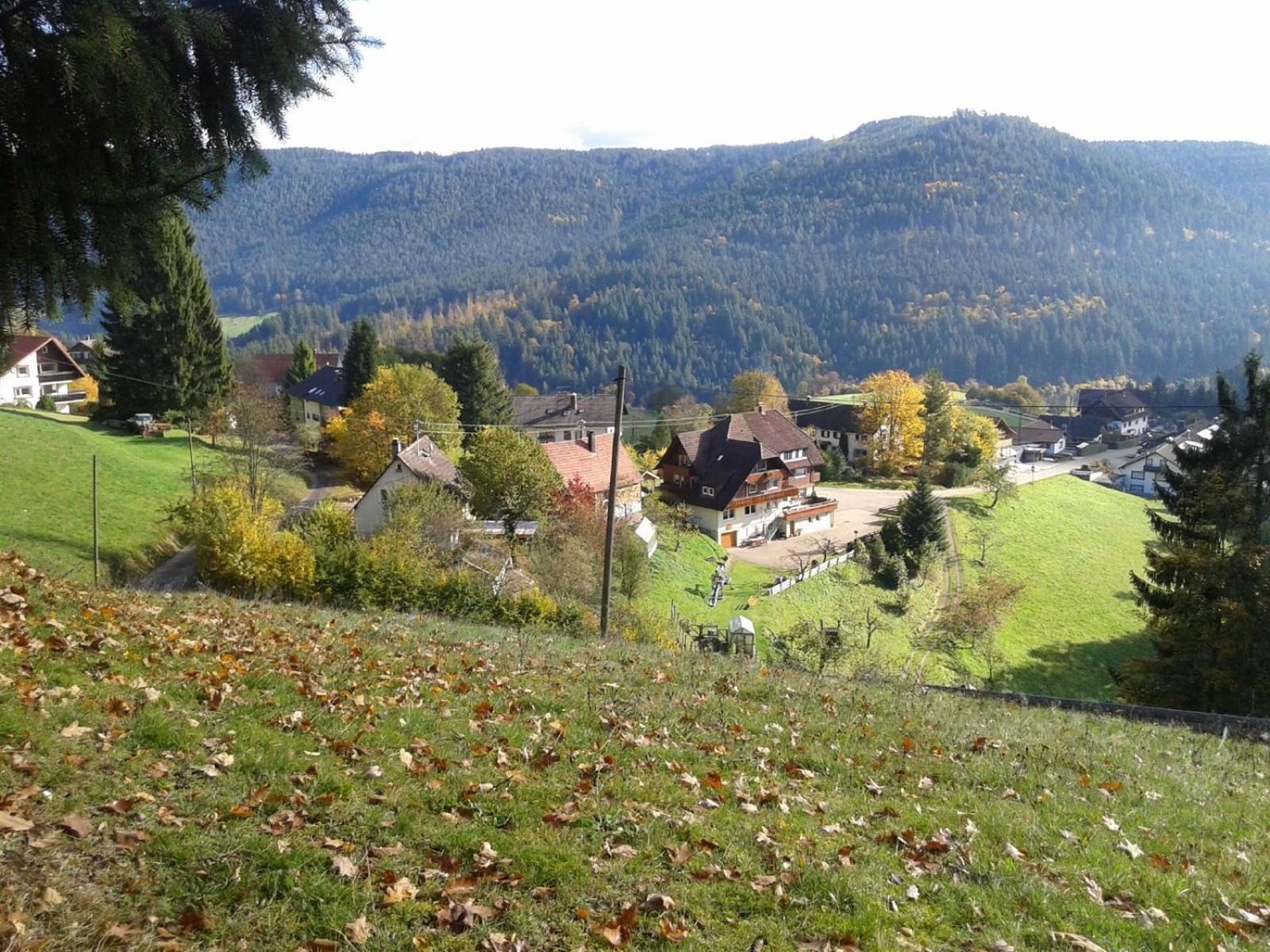 Landhaus Waldeshöhe