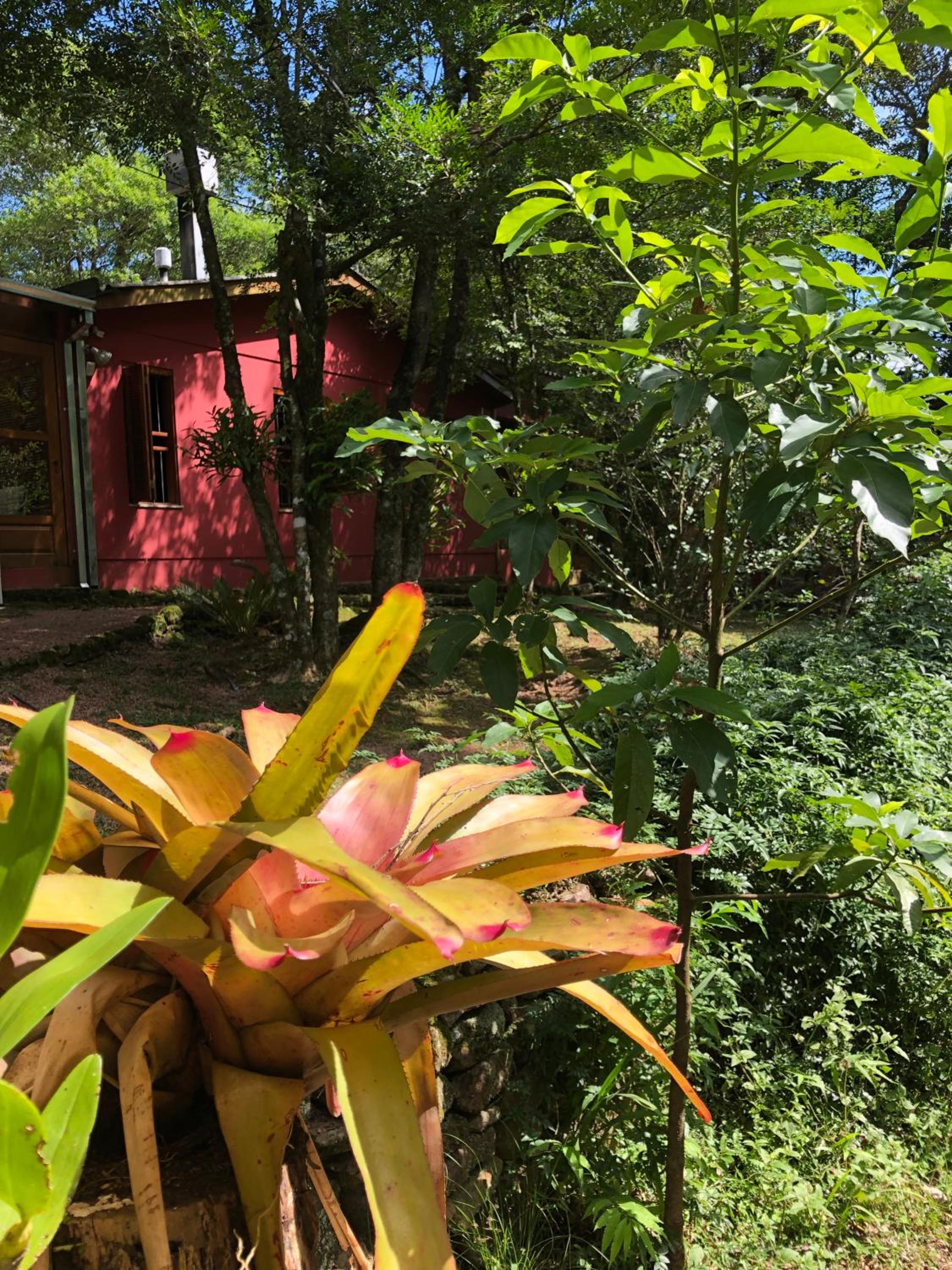 Refúgio da natureza