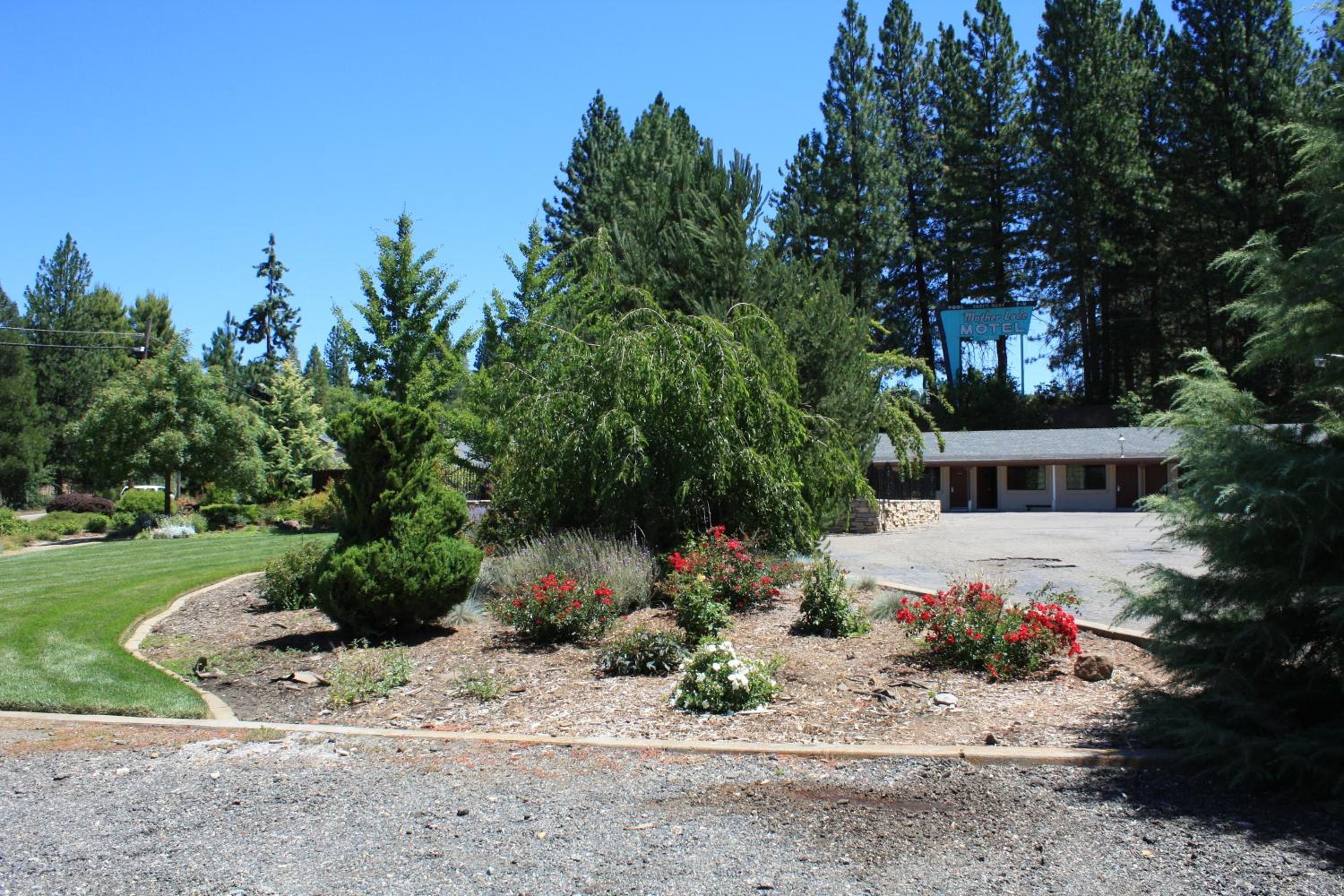 Mother Lode Motel