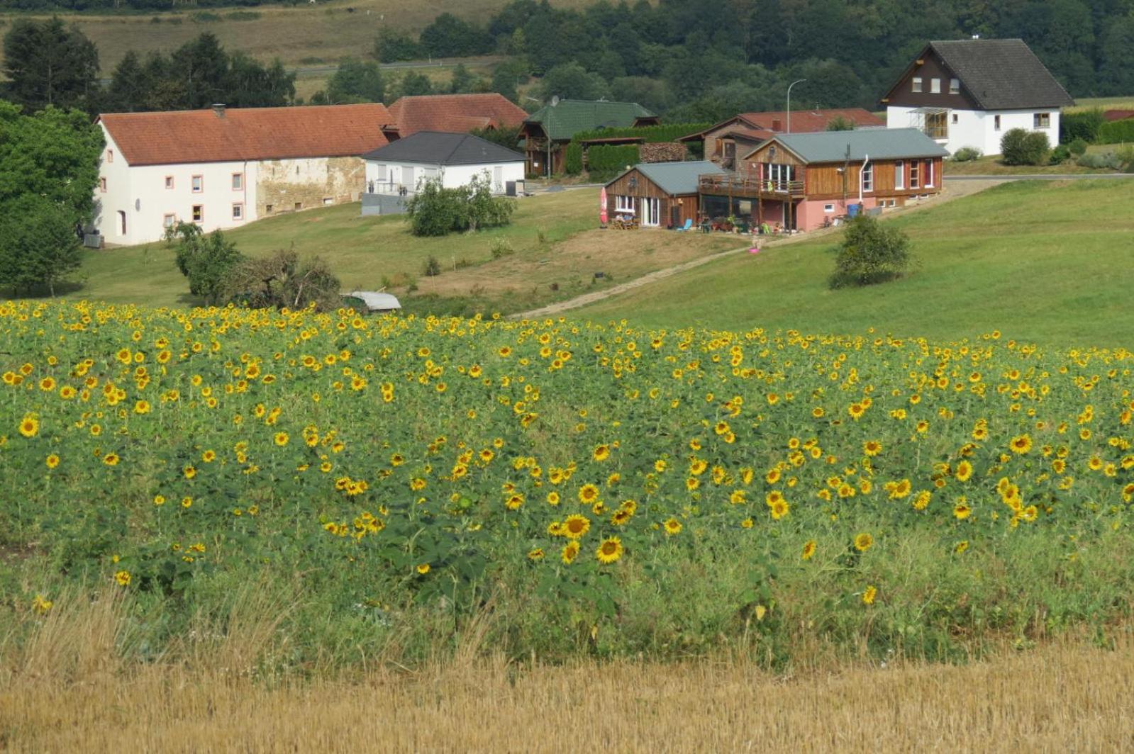 Haus Süskewiet