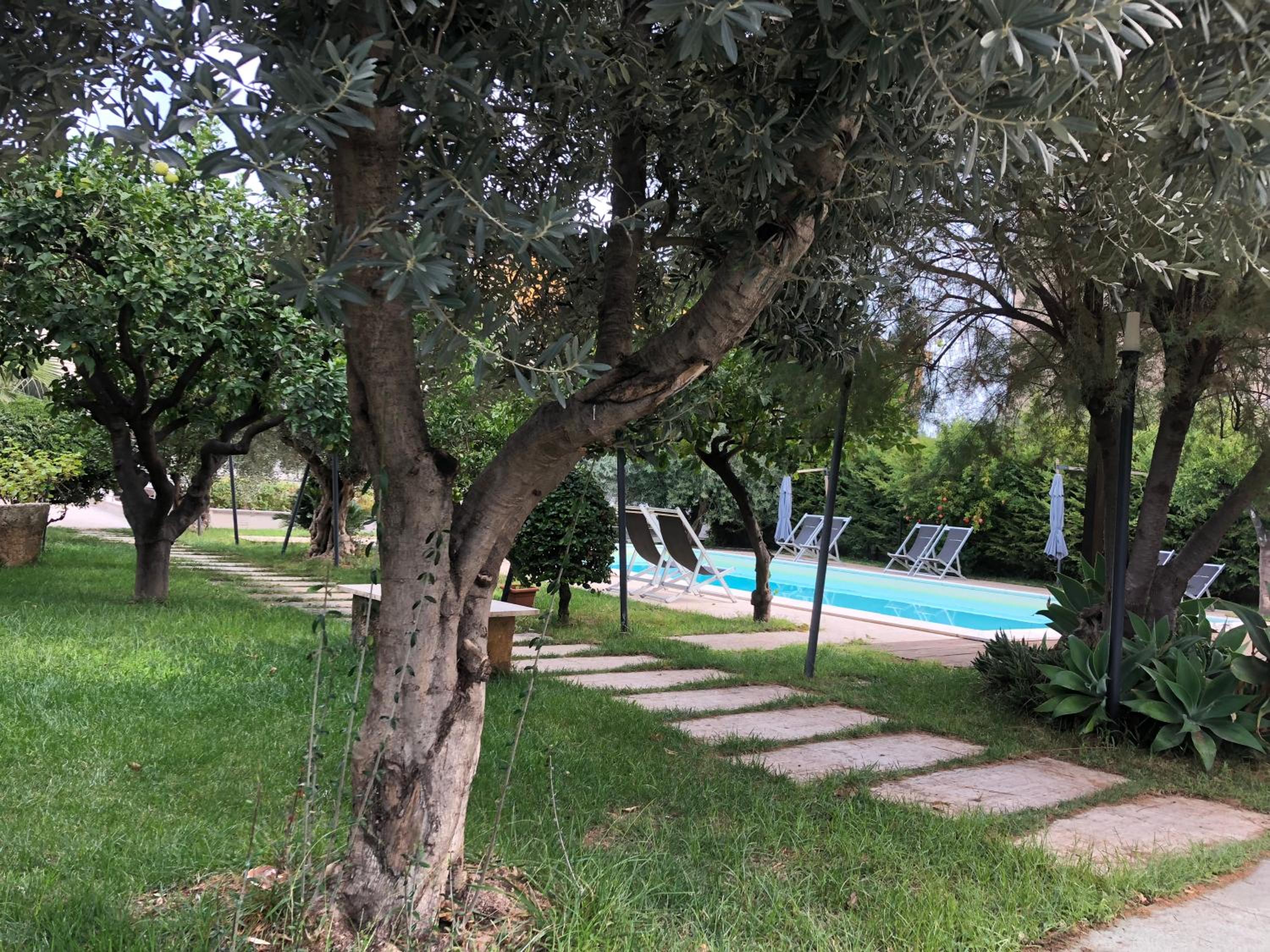 Photo 23