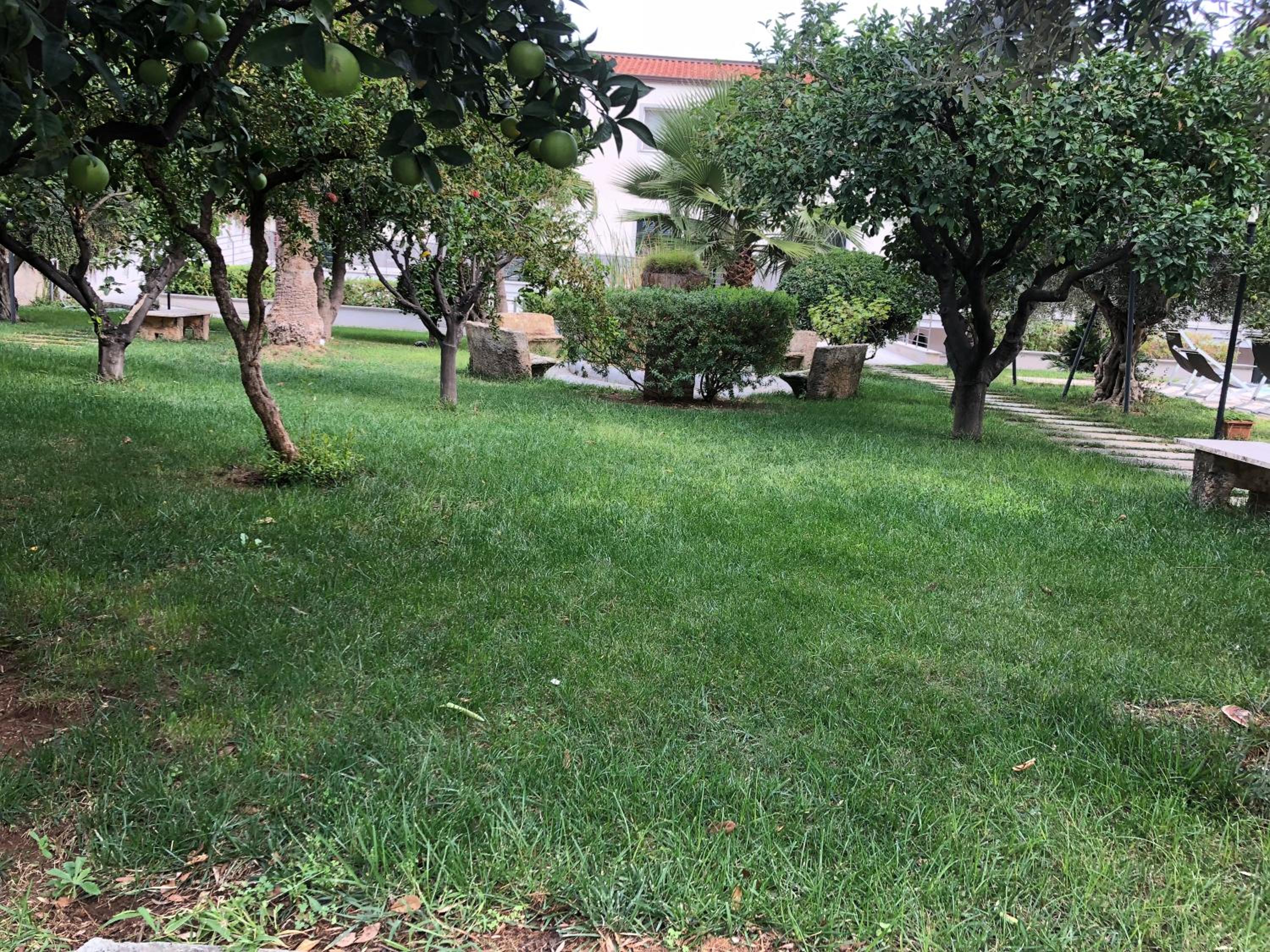 Photo 24