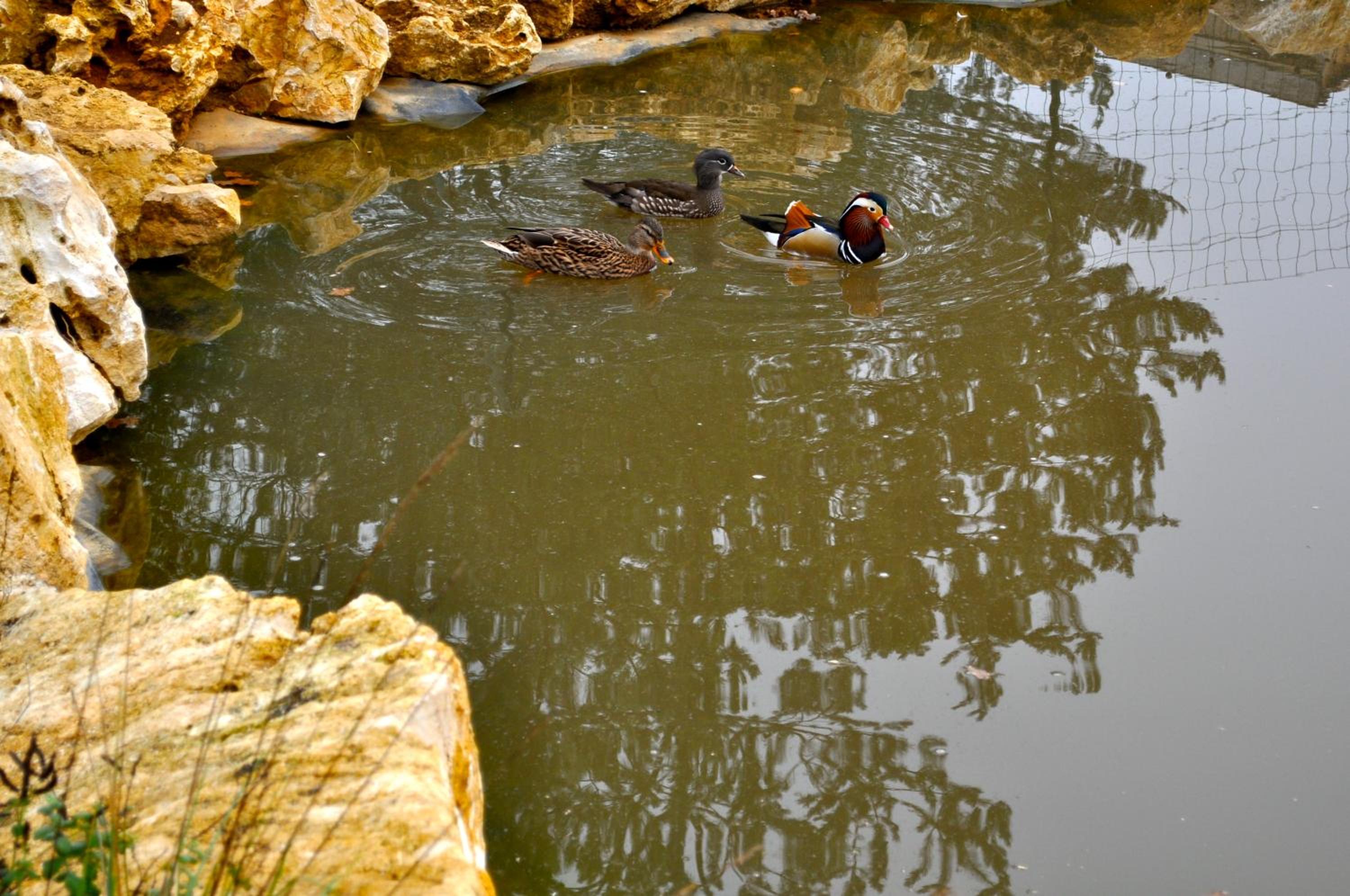 Domaine des Bories