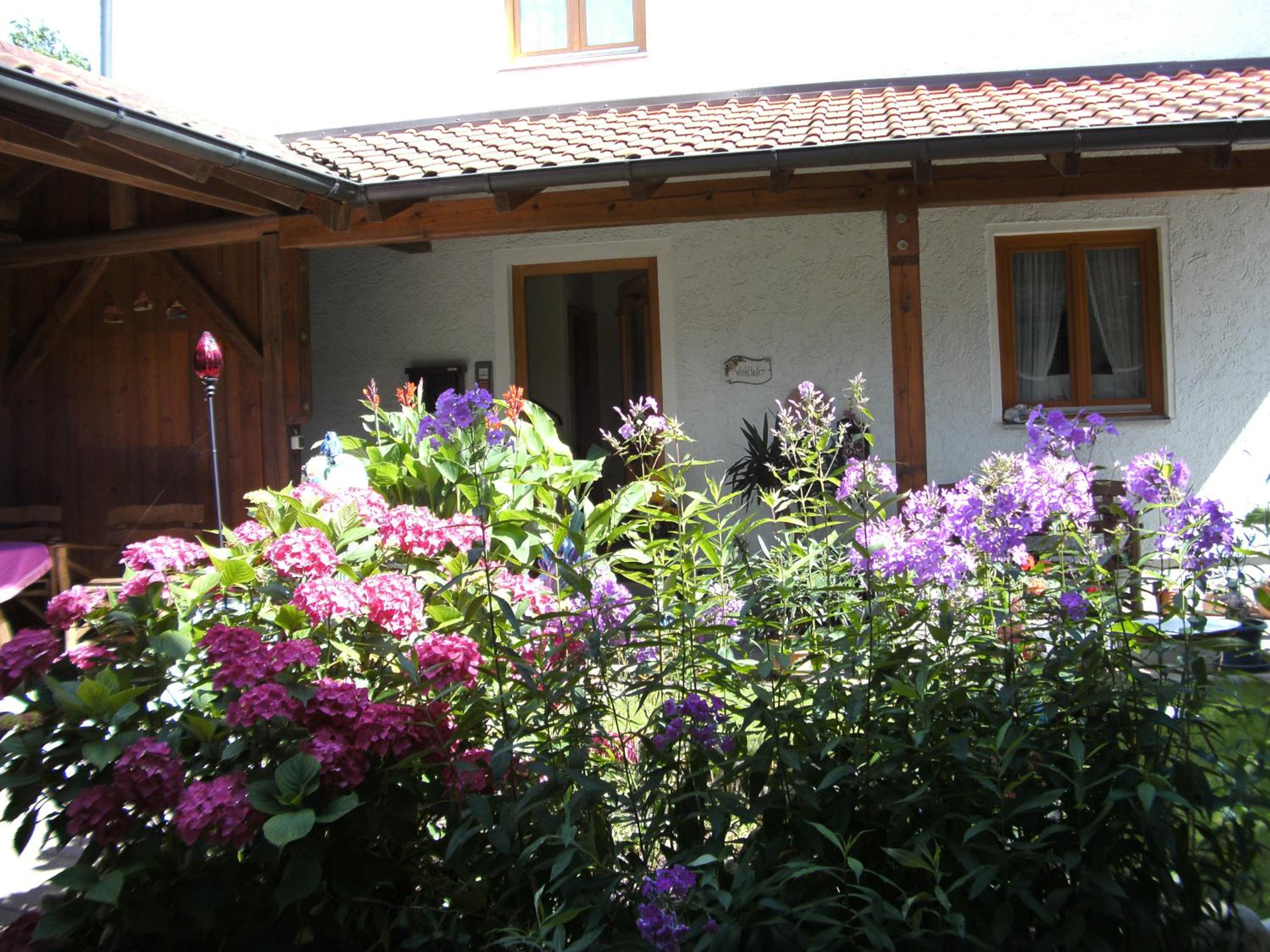 Photo 21