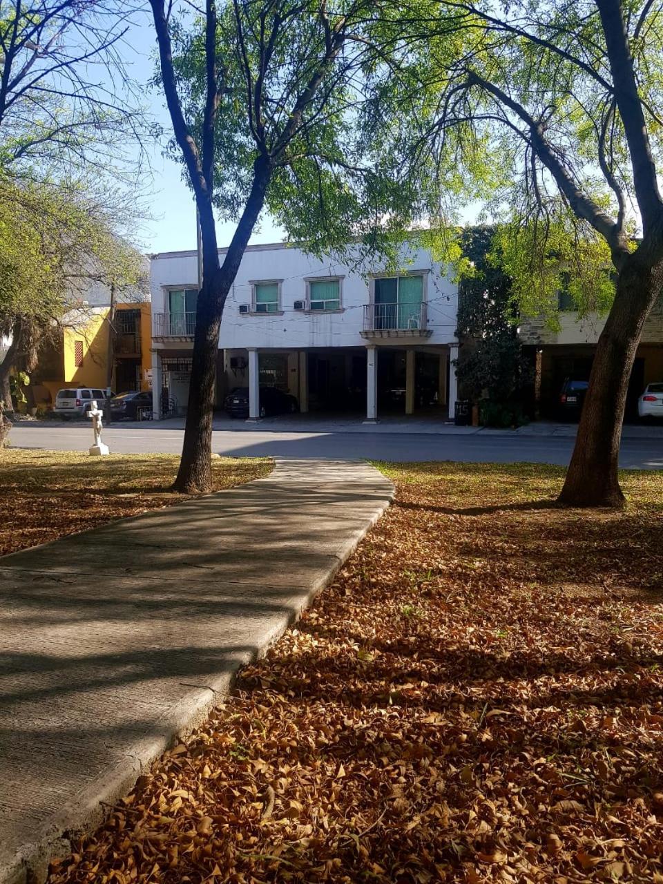 Photo 38