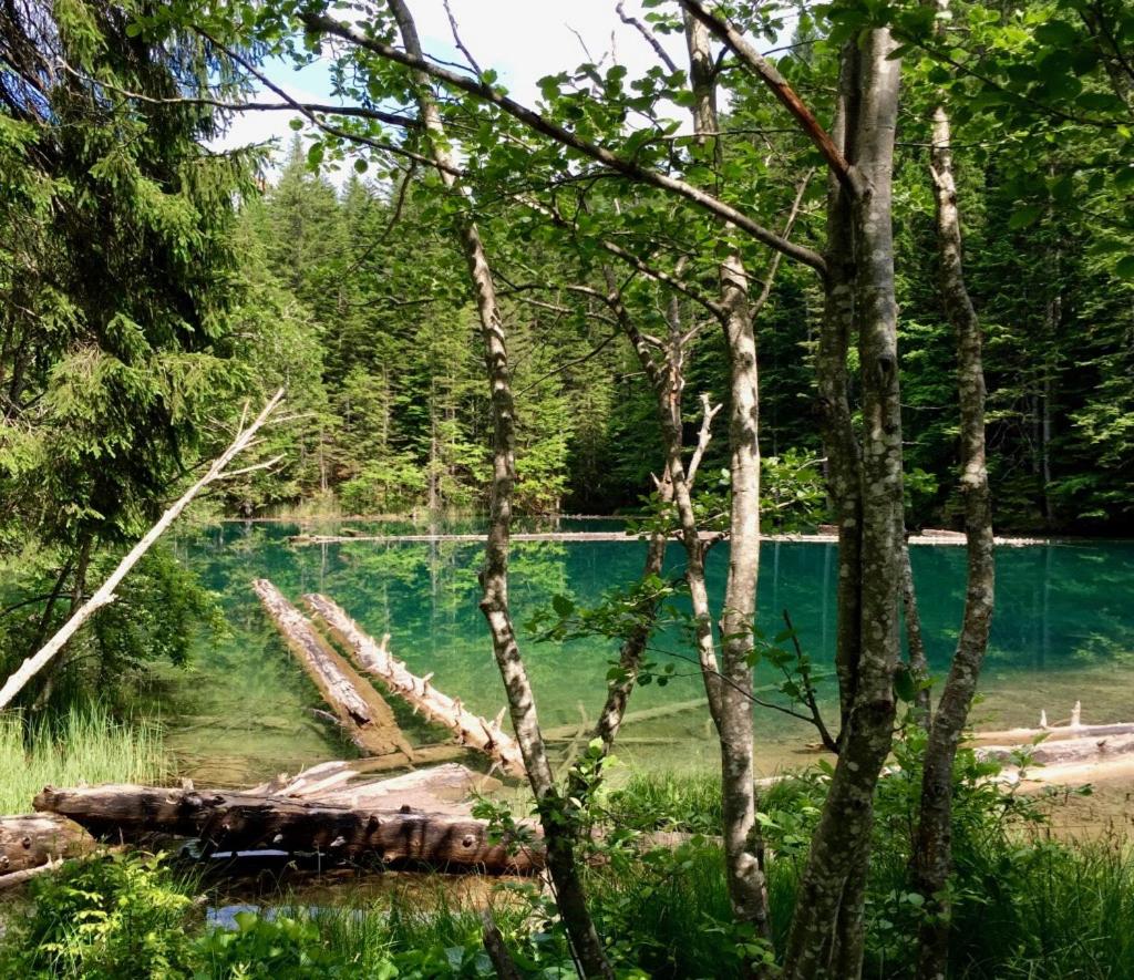 Waldnerhütte