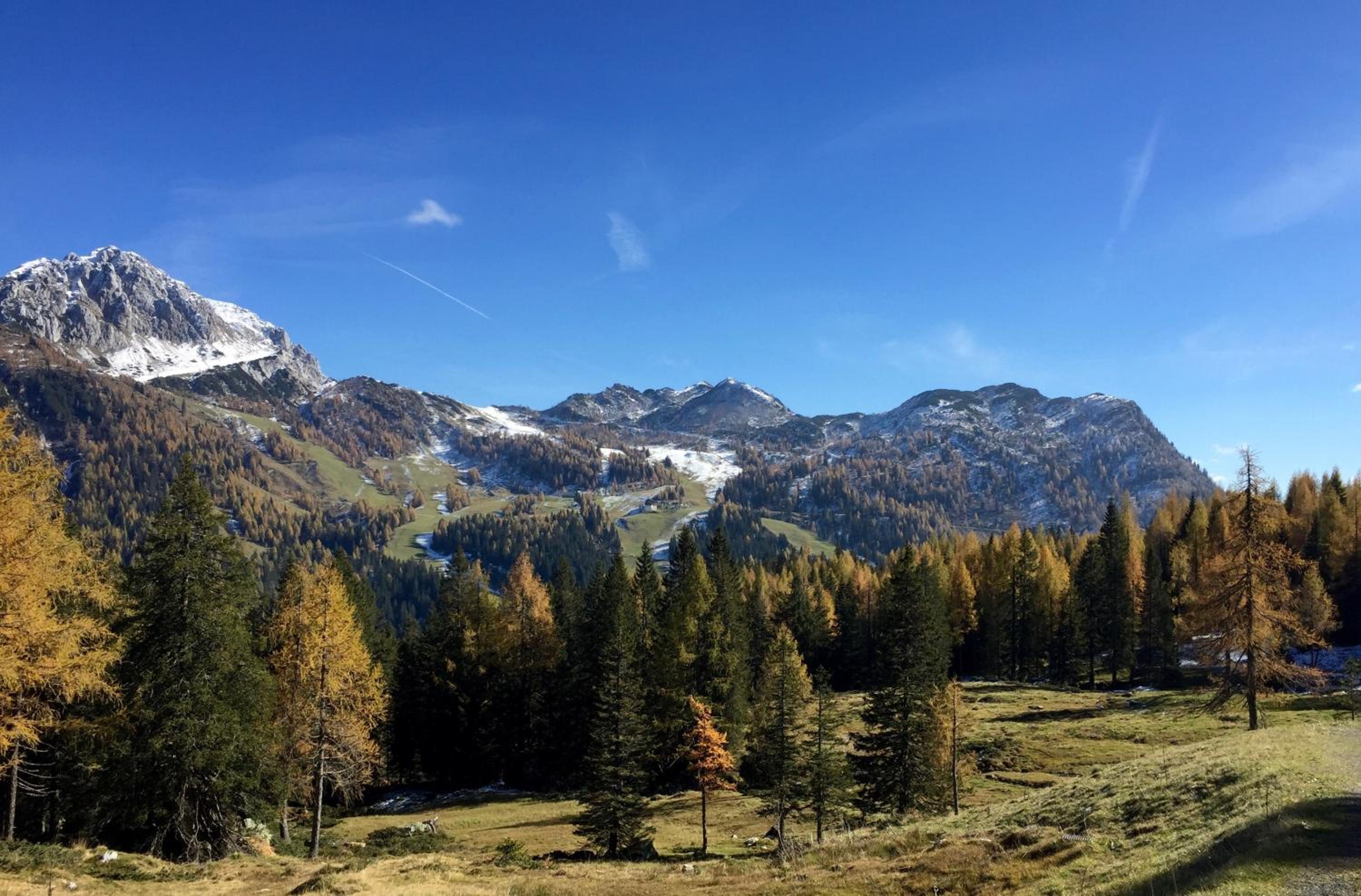 Waldnerhütte