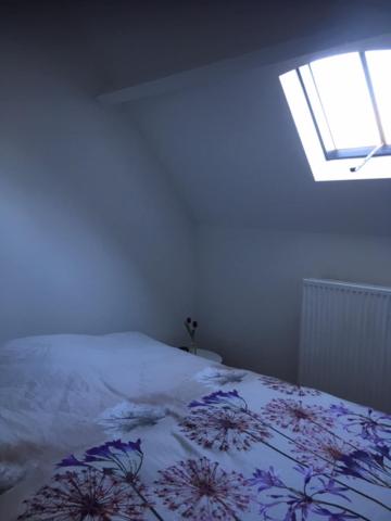 Annex