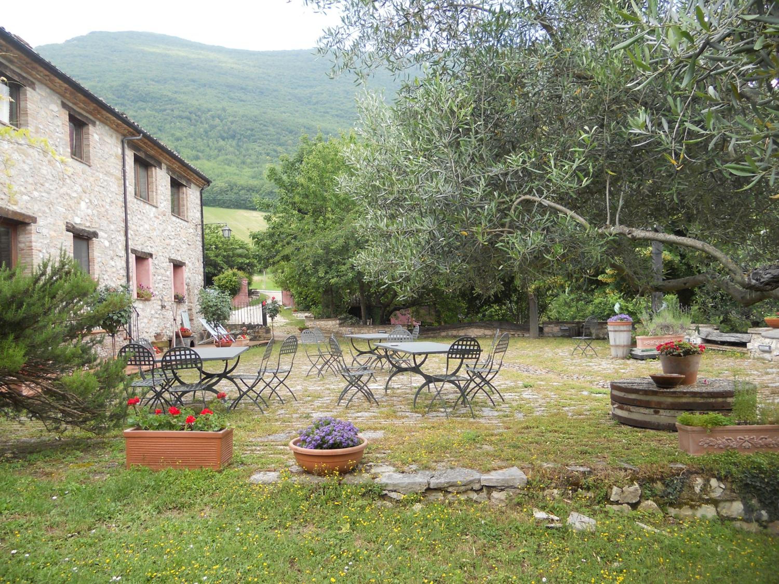 Photo 6