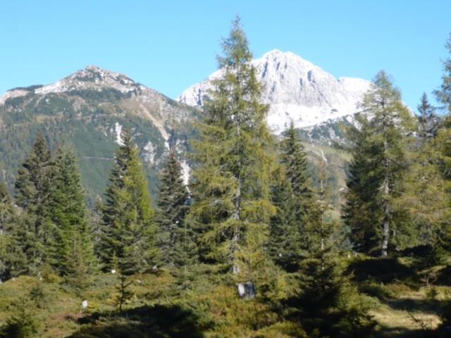 Waldnerhütte
