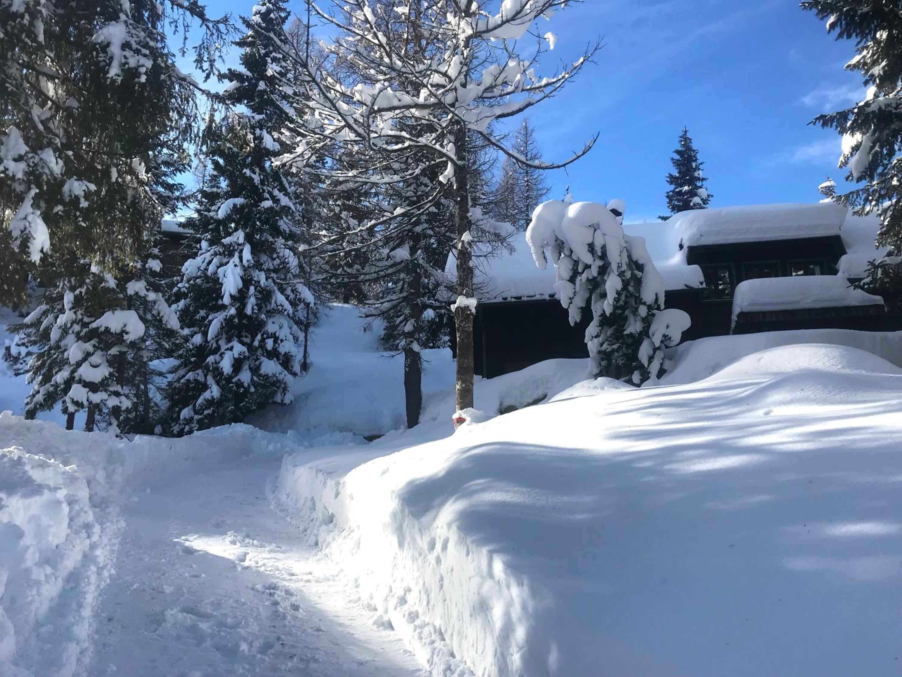 Waldnerhütte