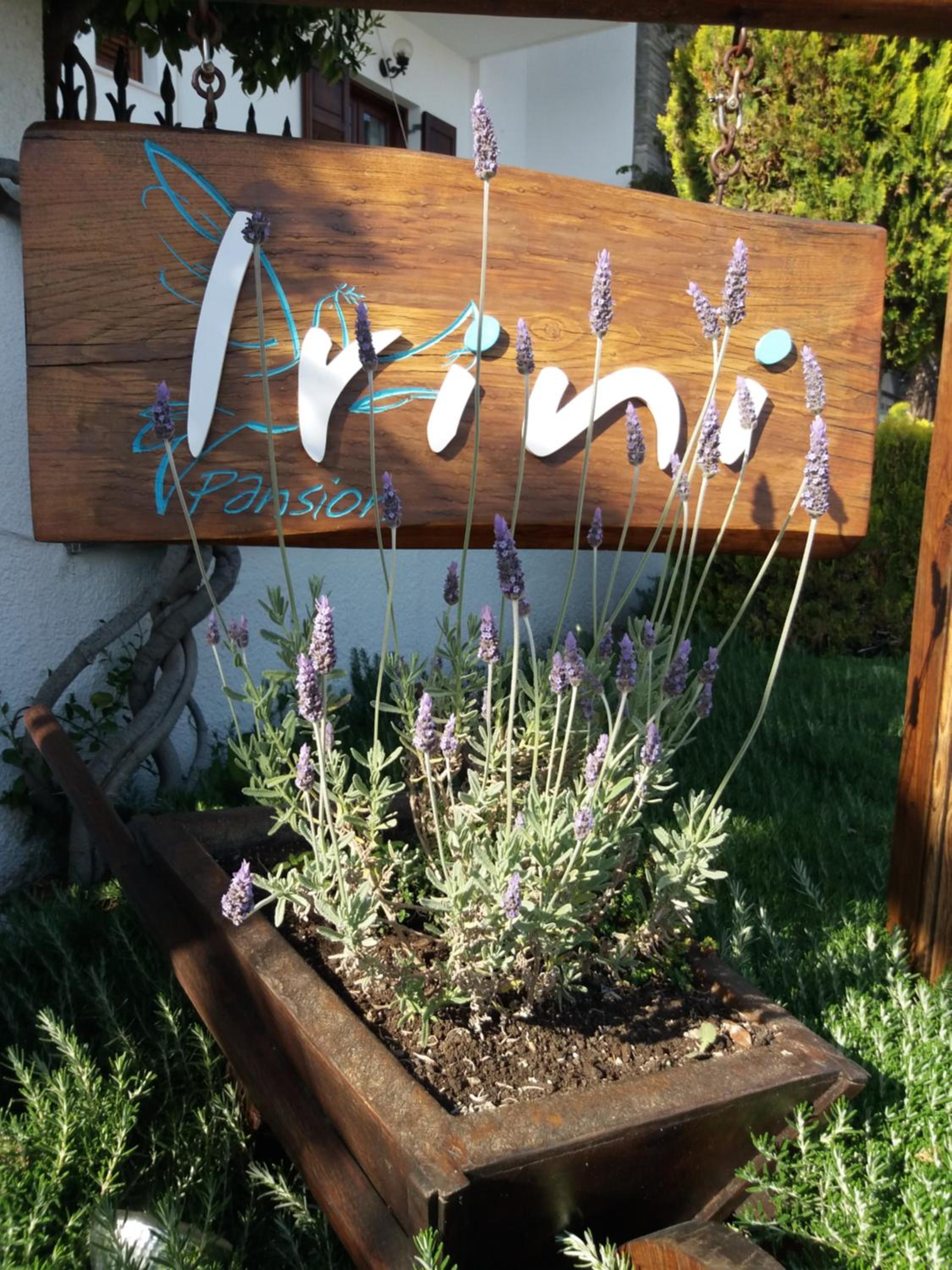 Pansion Irini