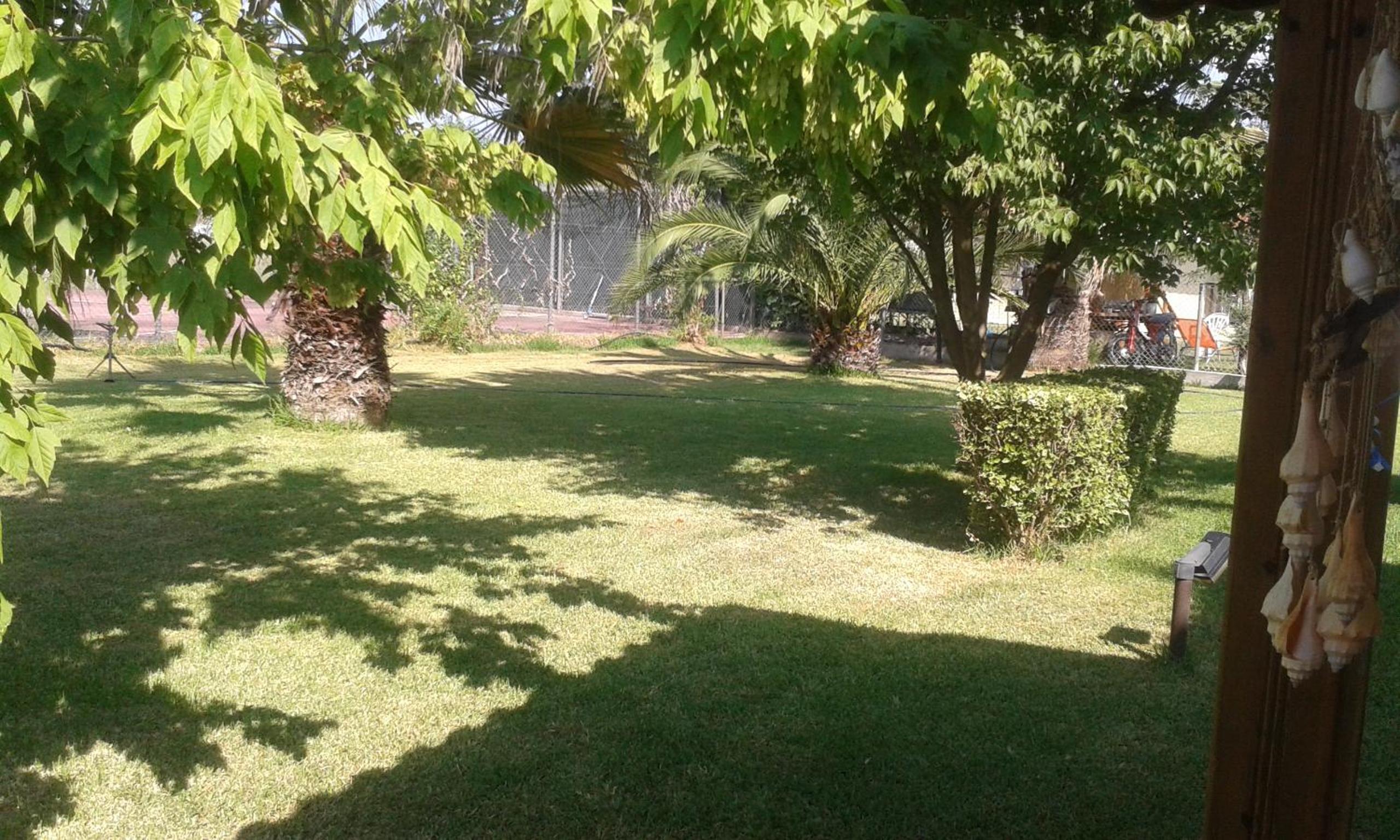 Photo 22