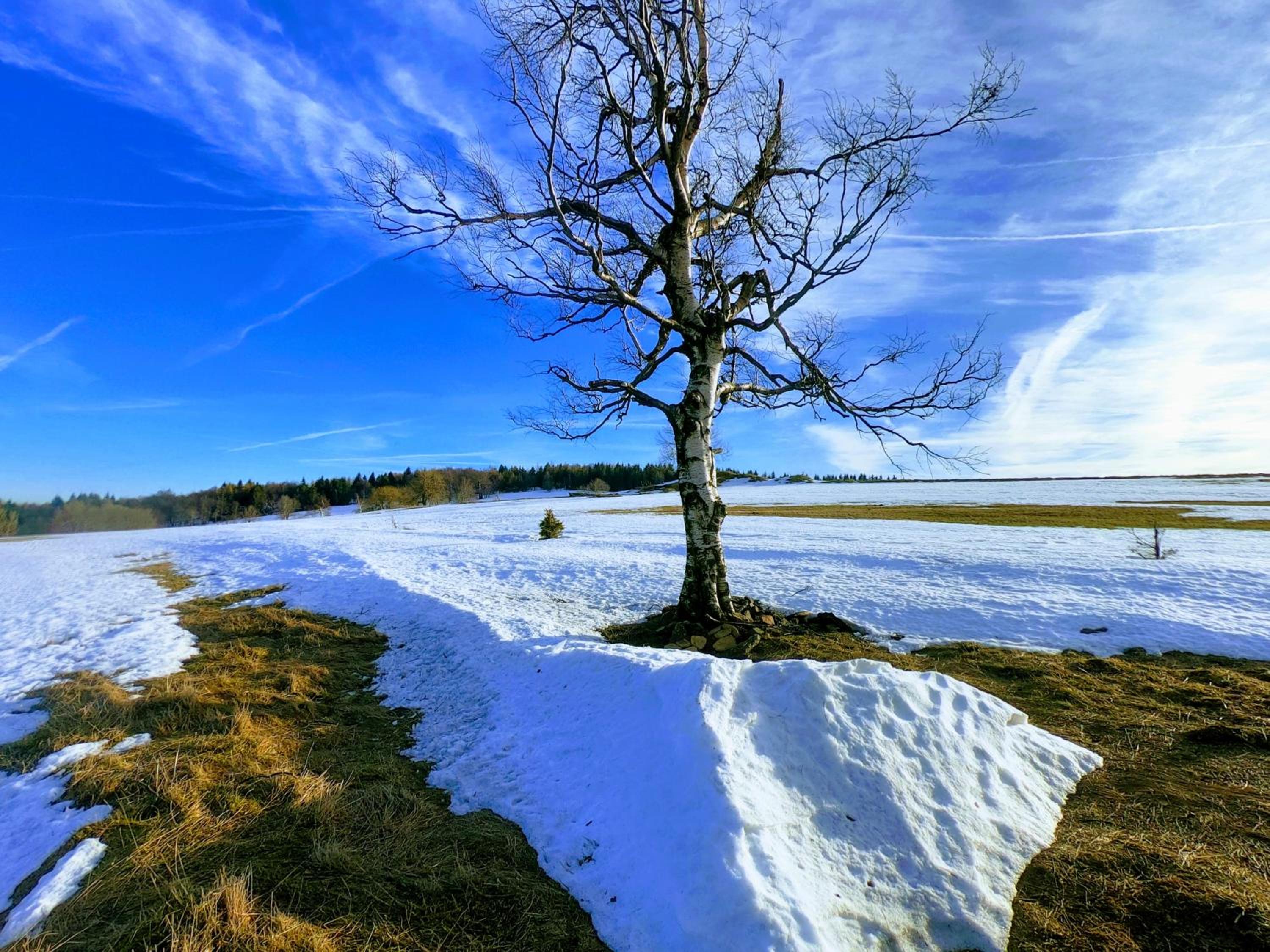 Urtica apartmány