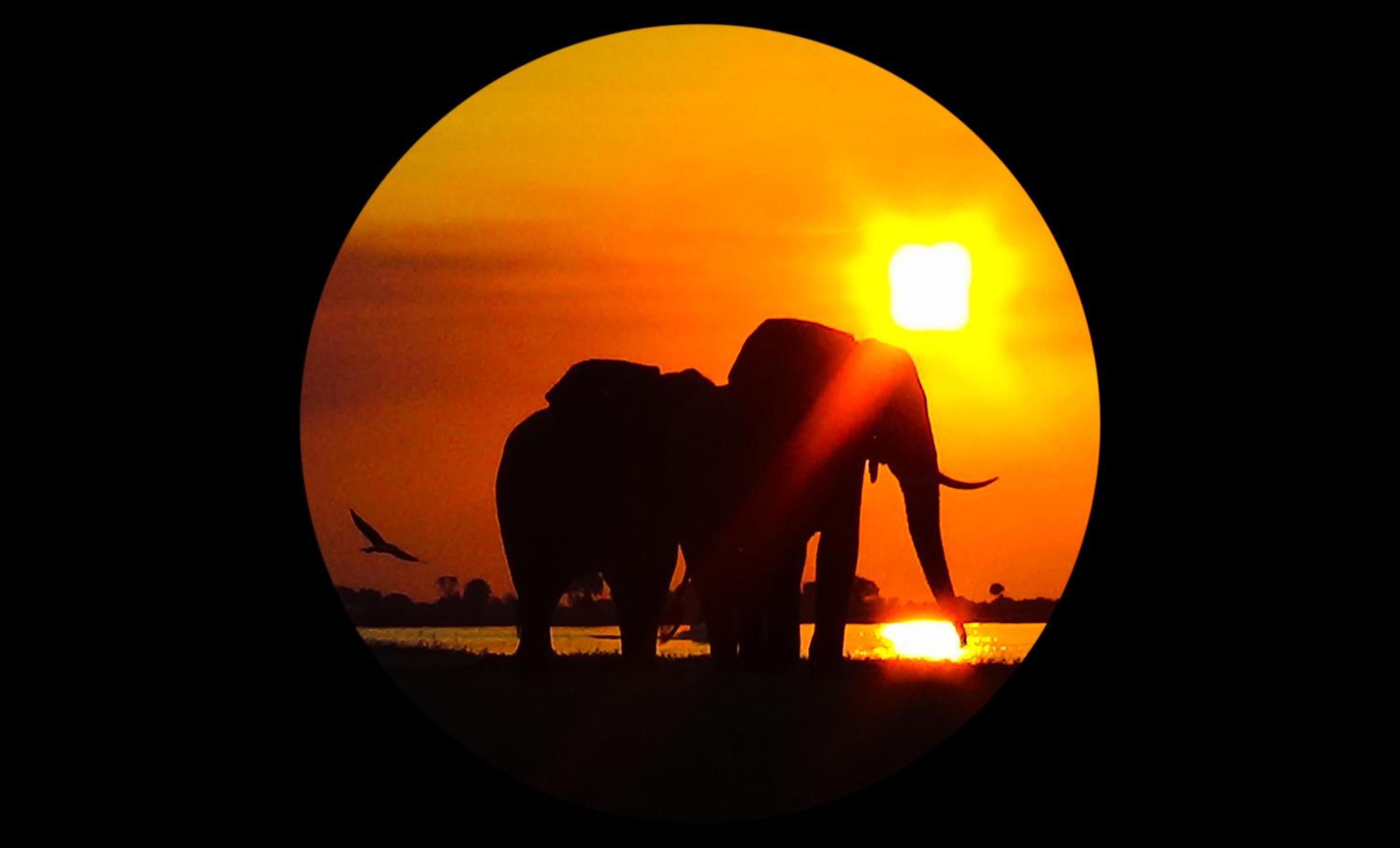 Elephant Trail Guesthouse and Backpackers