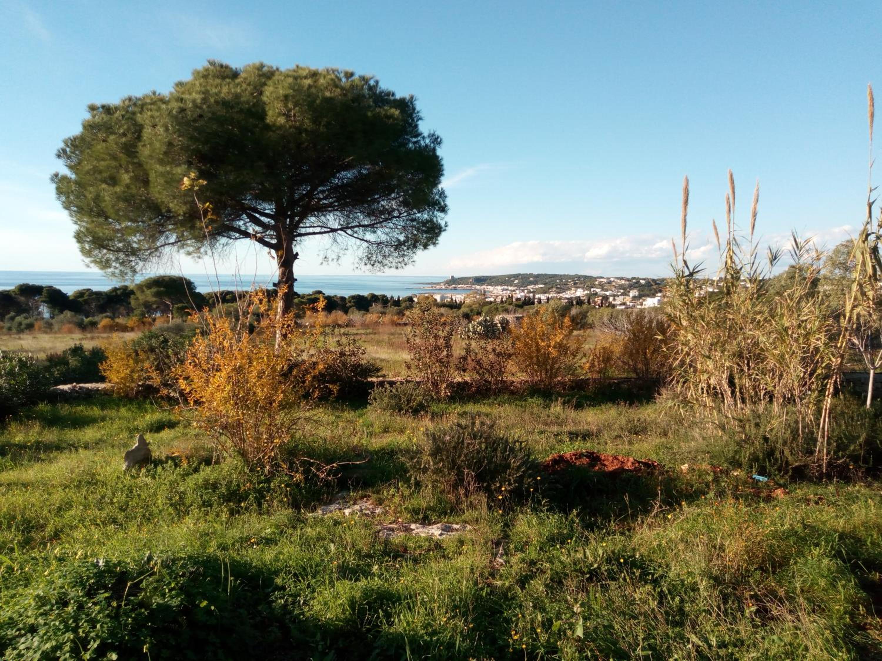 Antica Tenuta view 2