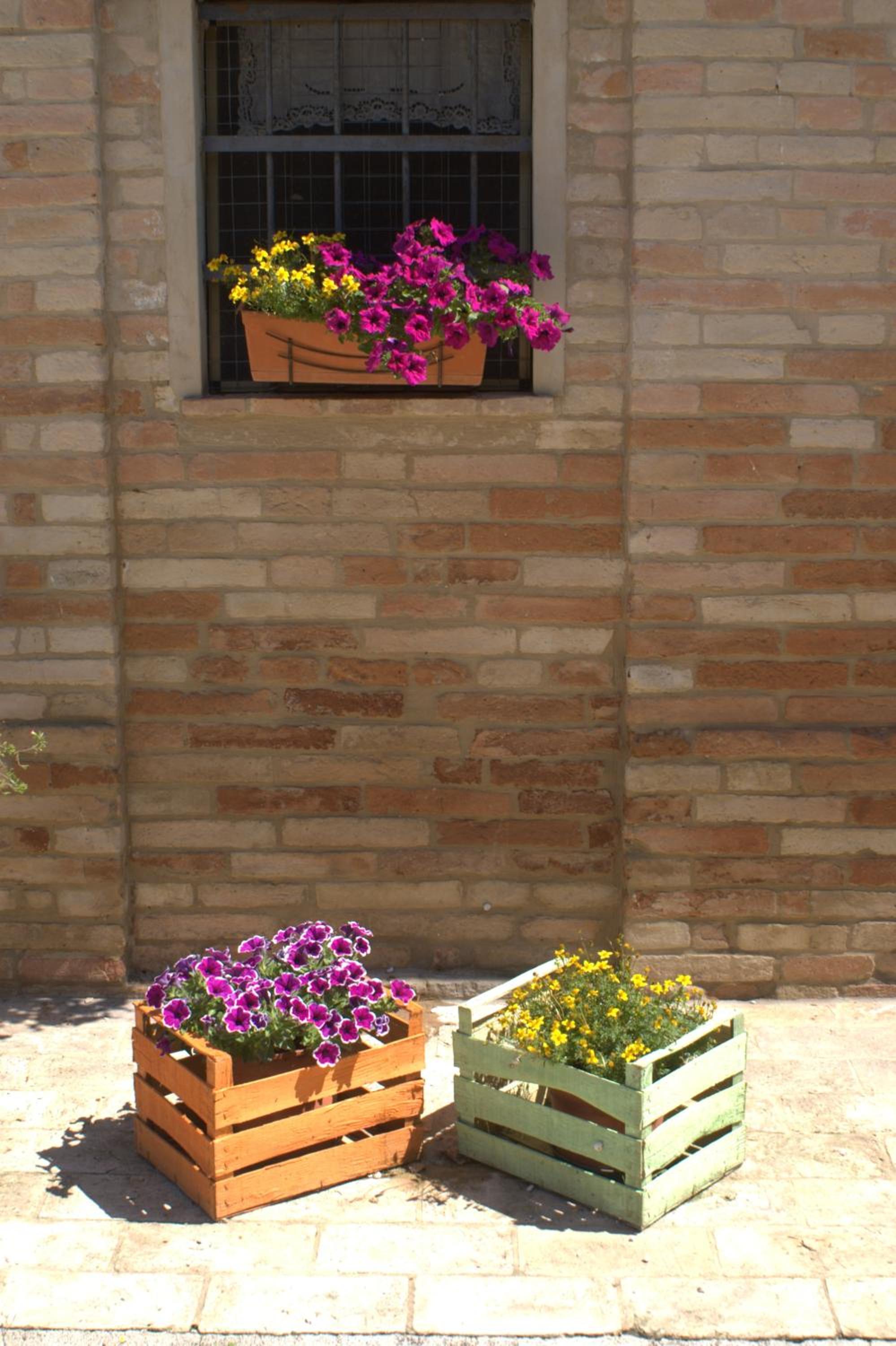 Casa il Girasole con piscina nelle Marche