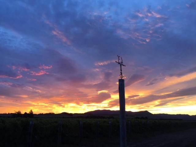 Romantic vineyard getaway on Wine Estate, with wine tasting, hot tub and amazing views view 2