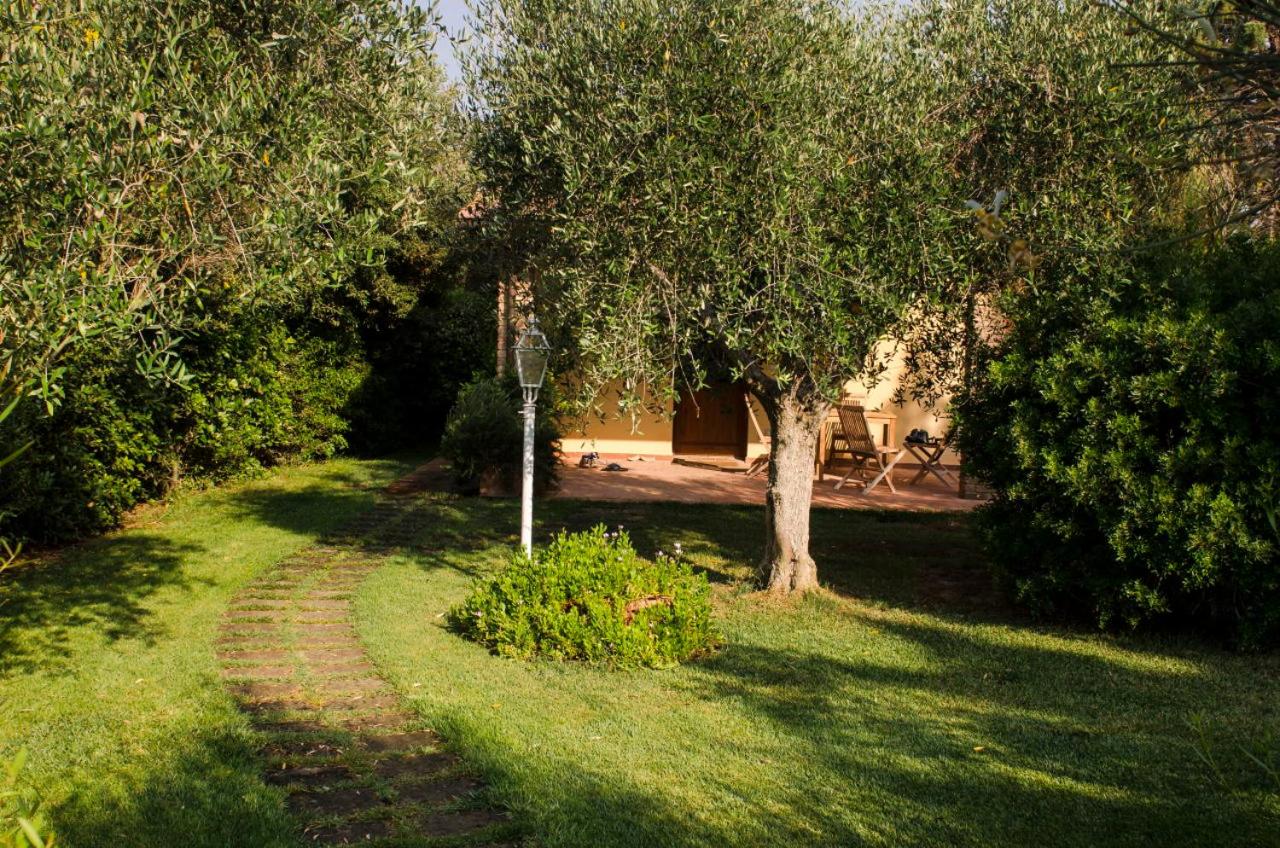 Photo 45