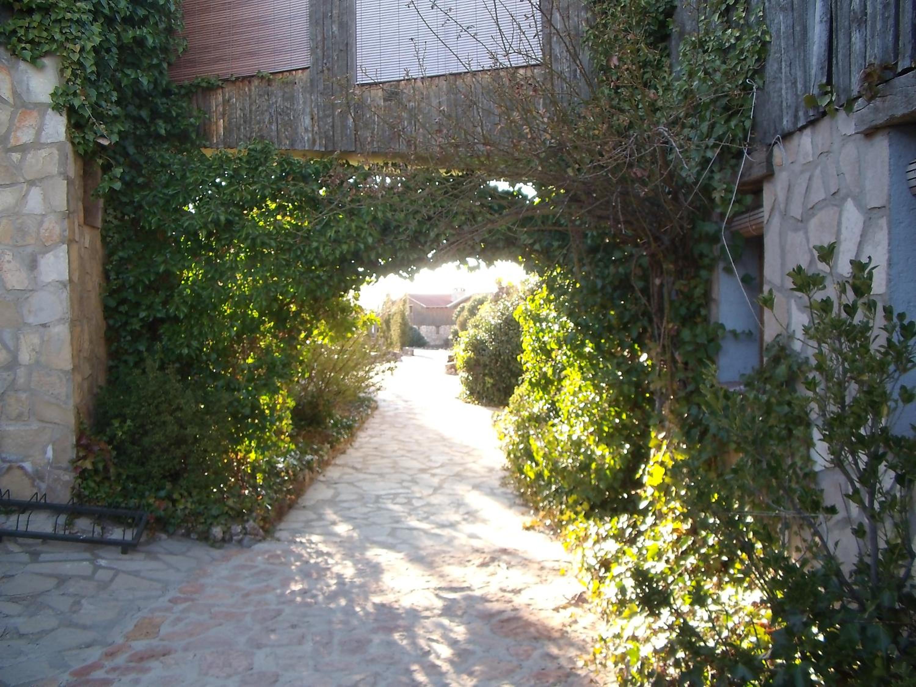 Photo 41