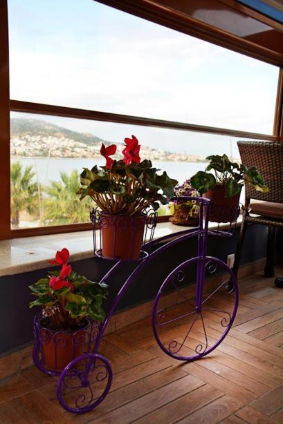 Focamor Otel