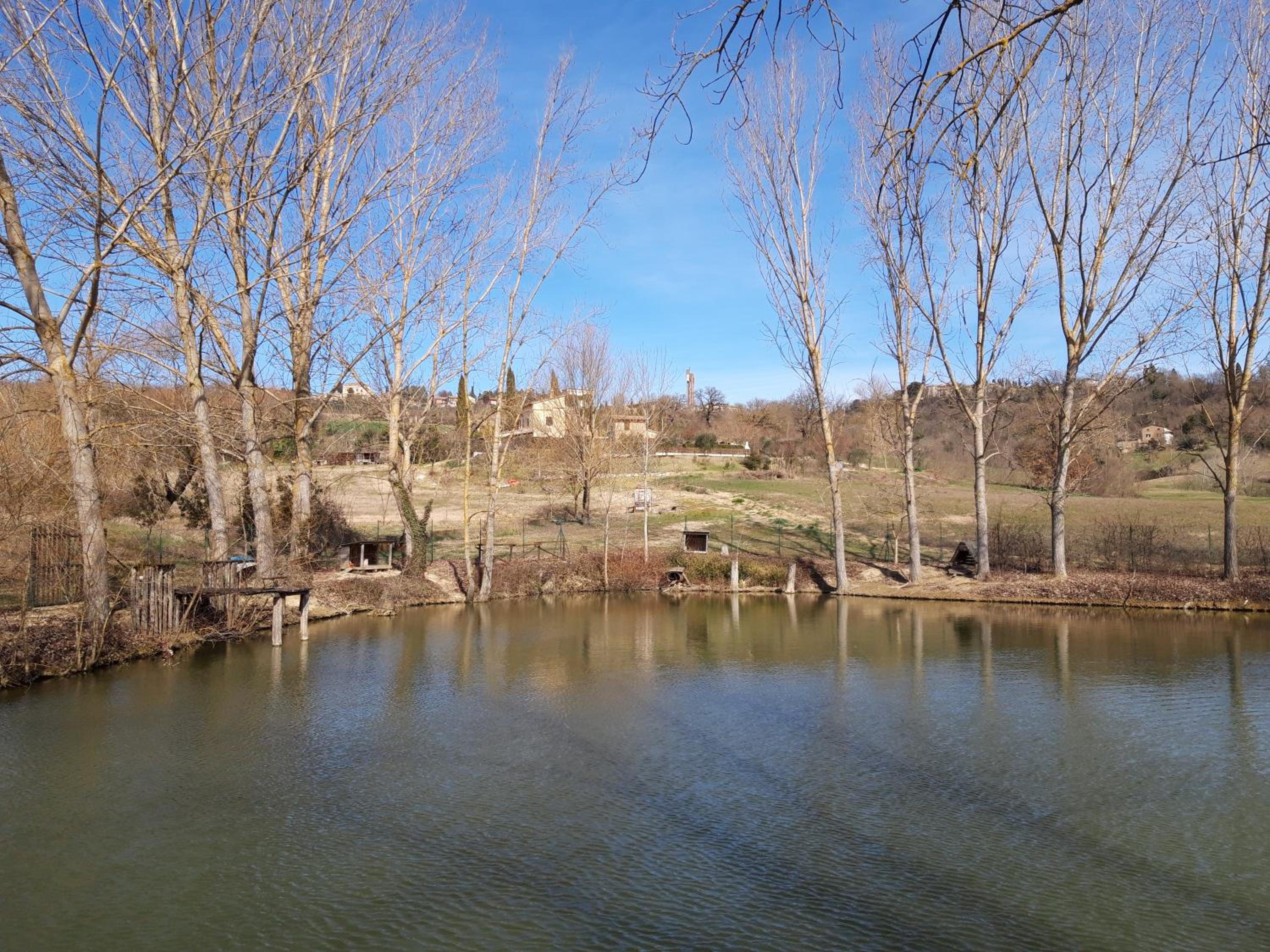 Agriturismo La Mela view 5