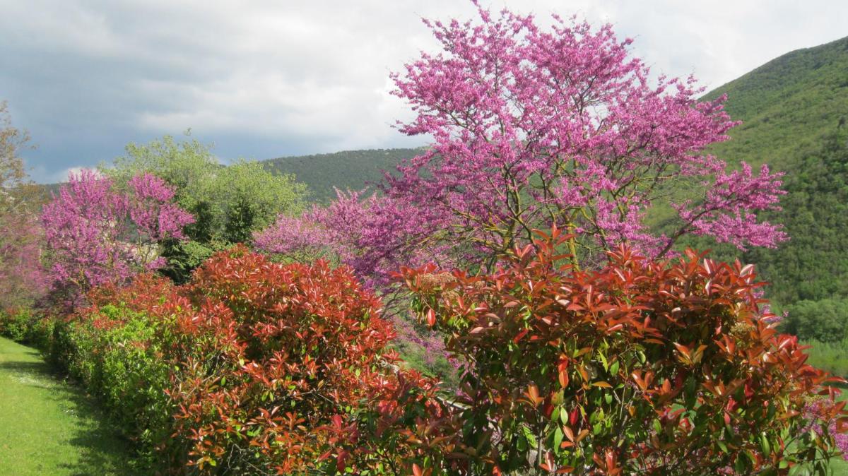 Locanda Salimbeni view 2