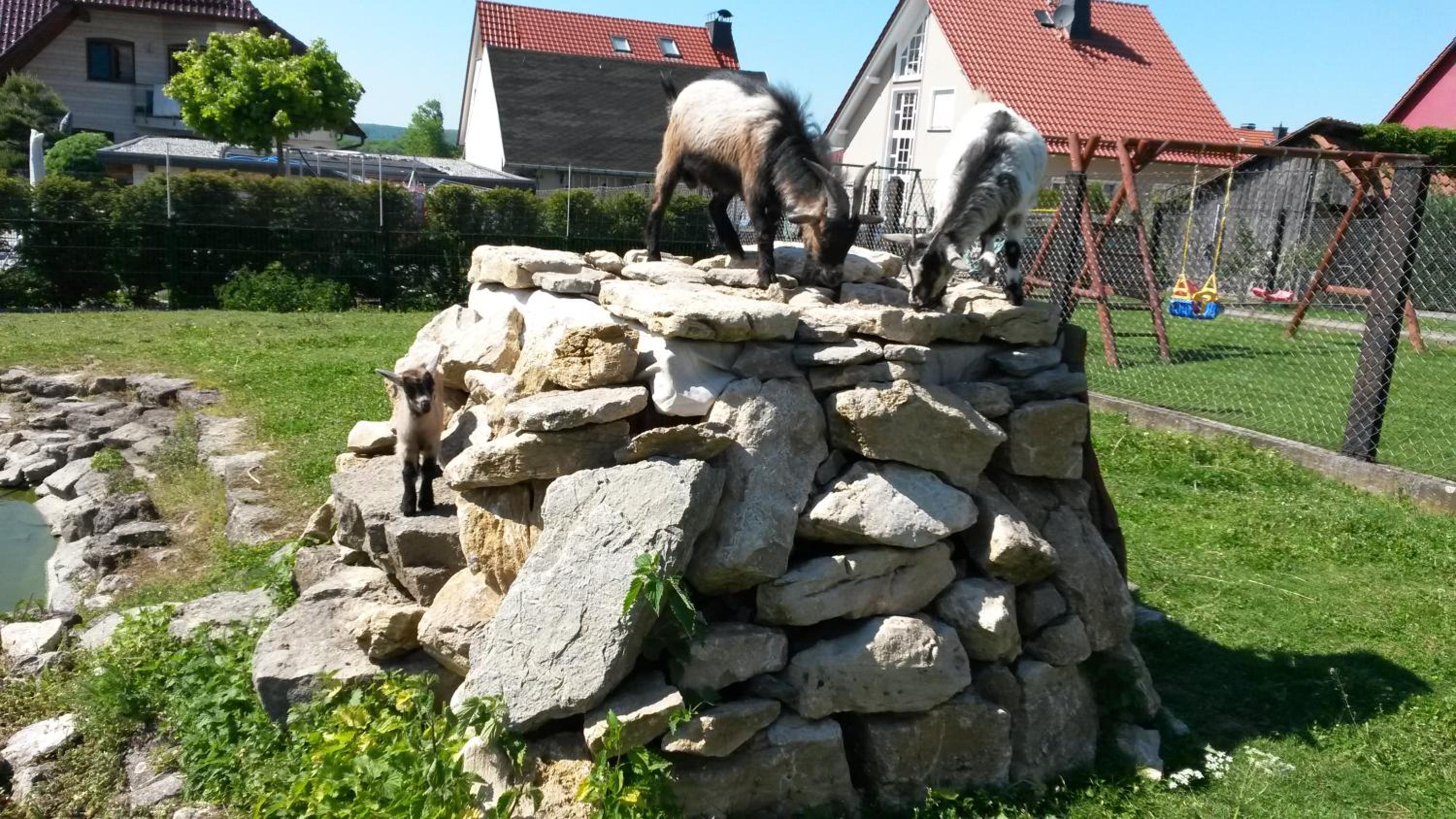 Photo 33