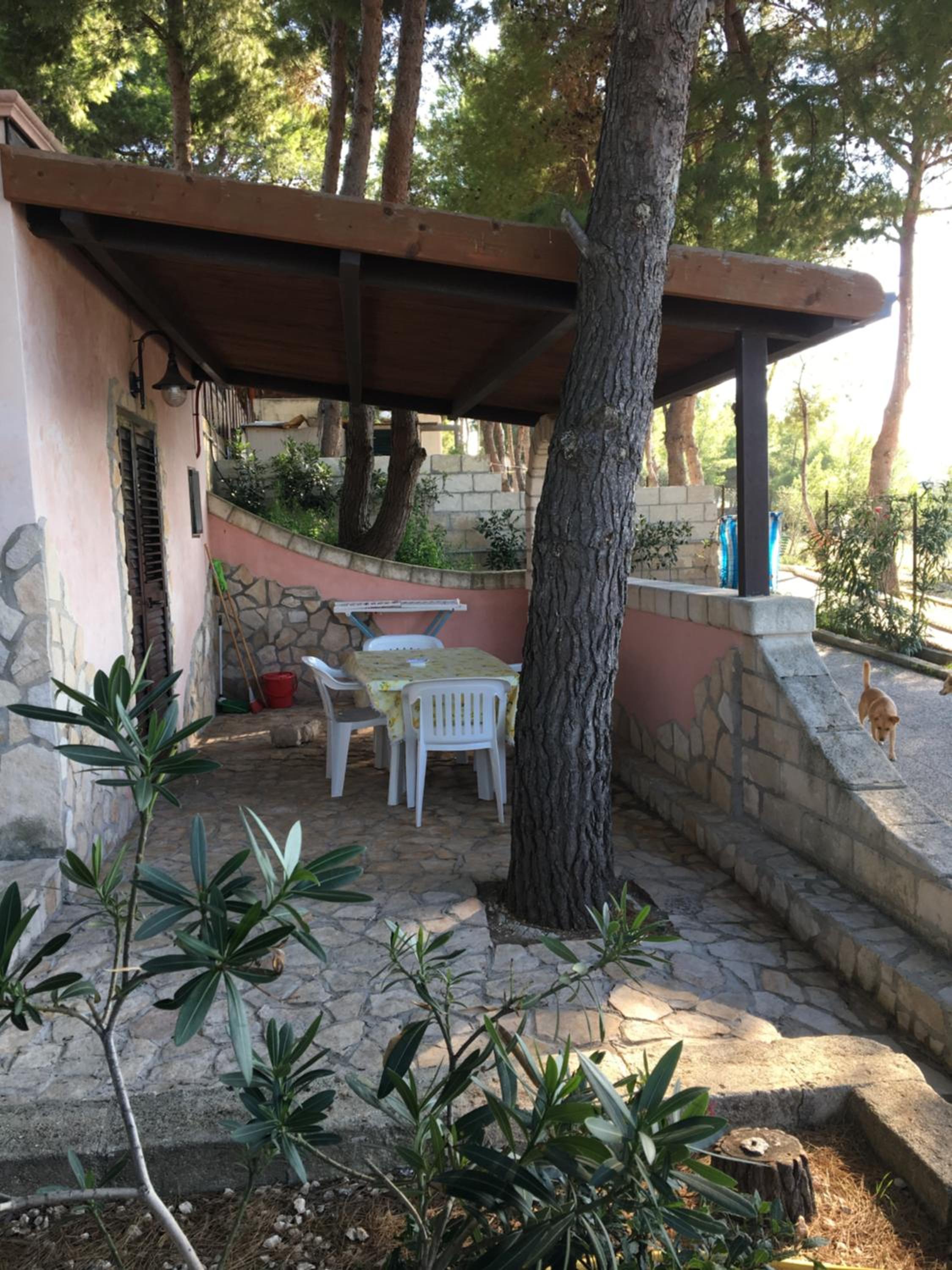 Villa Paola photo 4