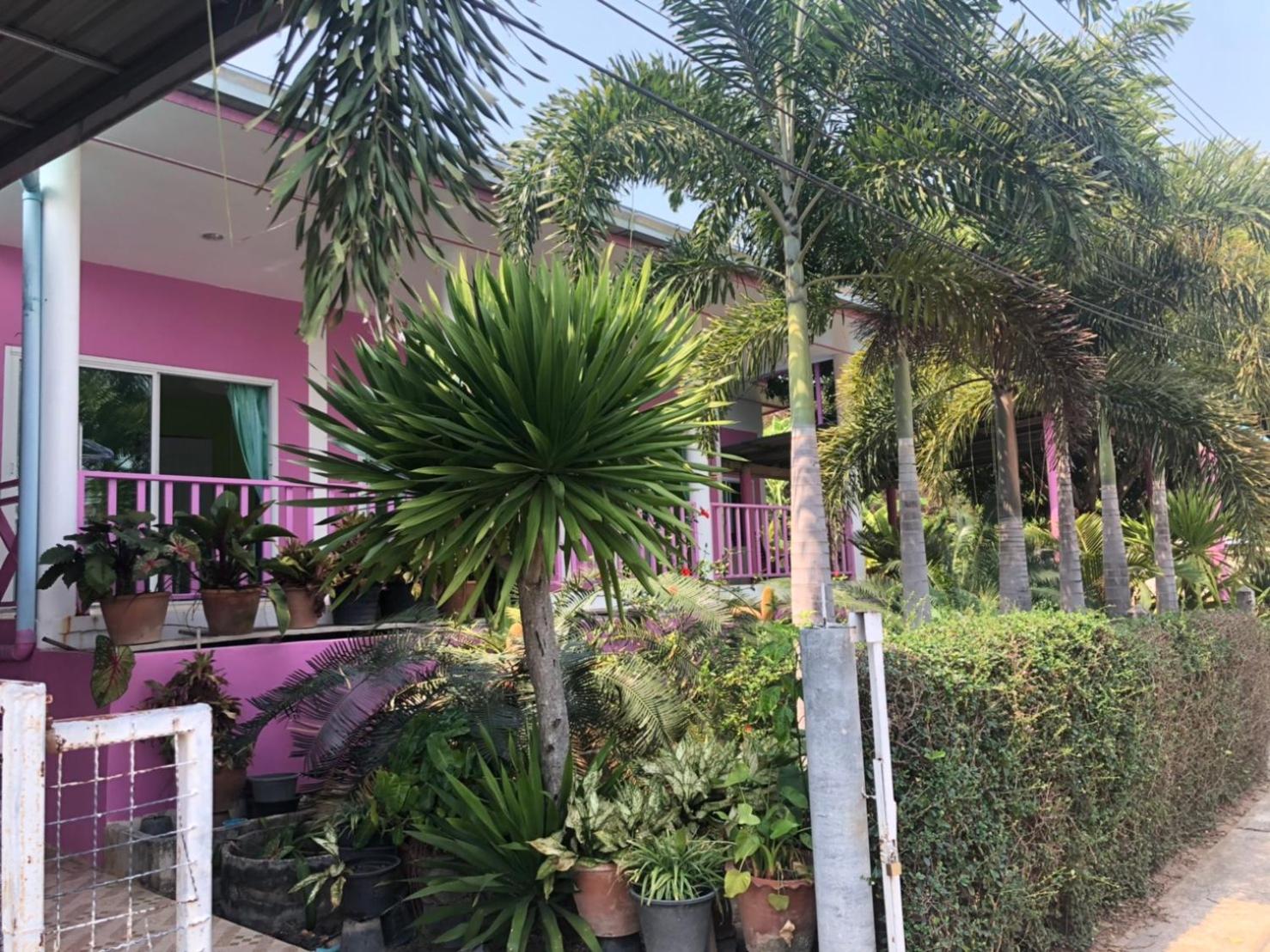 Bann Pa Su (บ้านป้าสุ) view 4